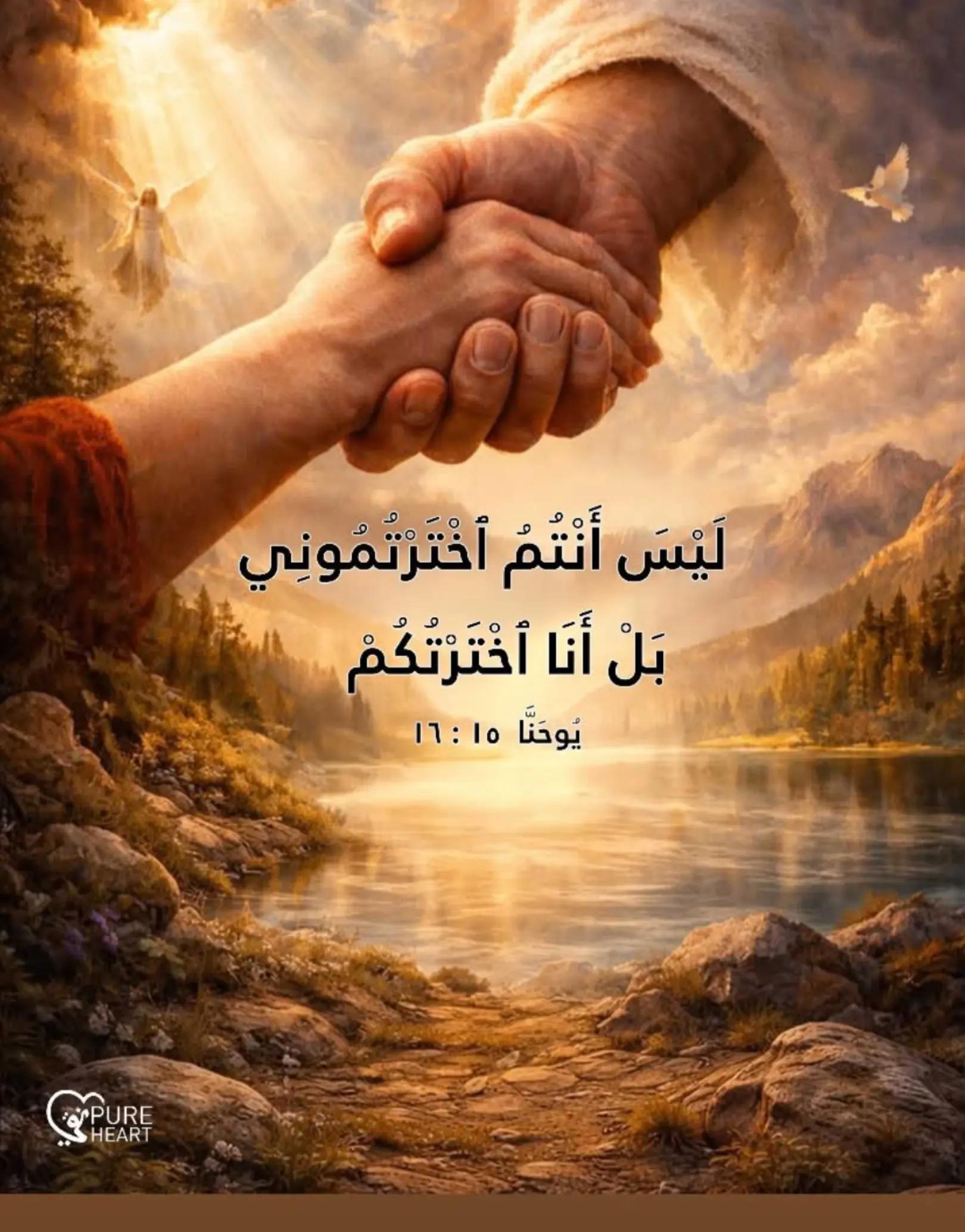 @Maya Salame