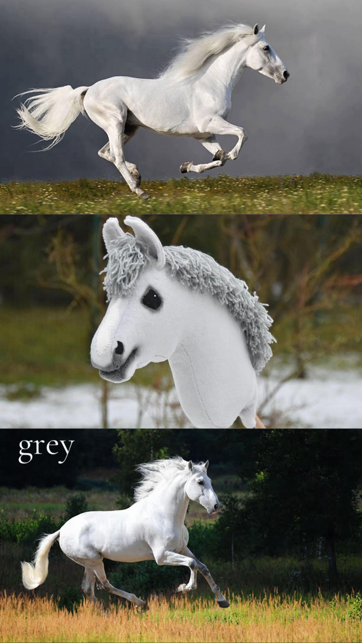 @BShobbyhorses