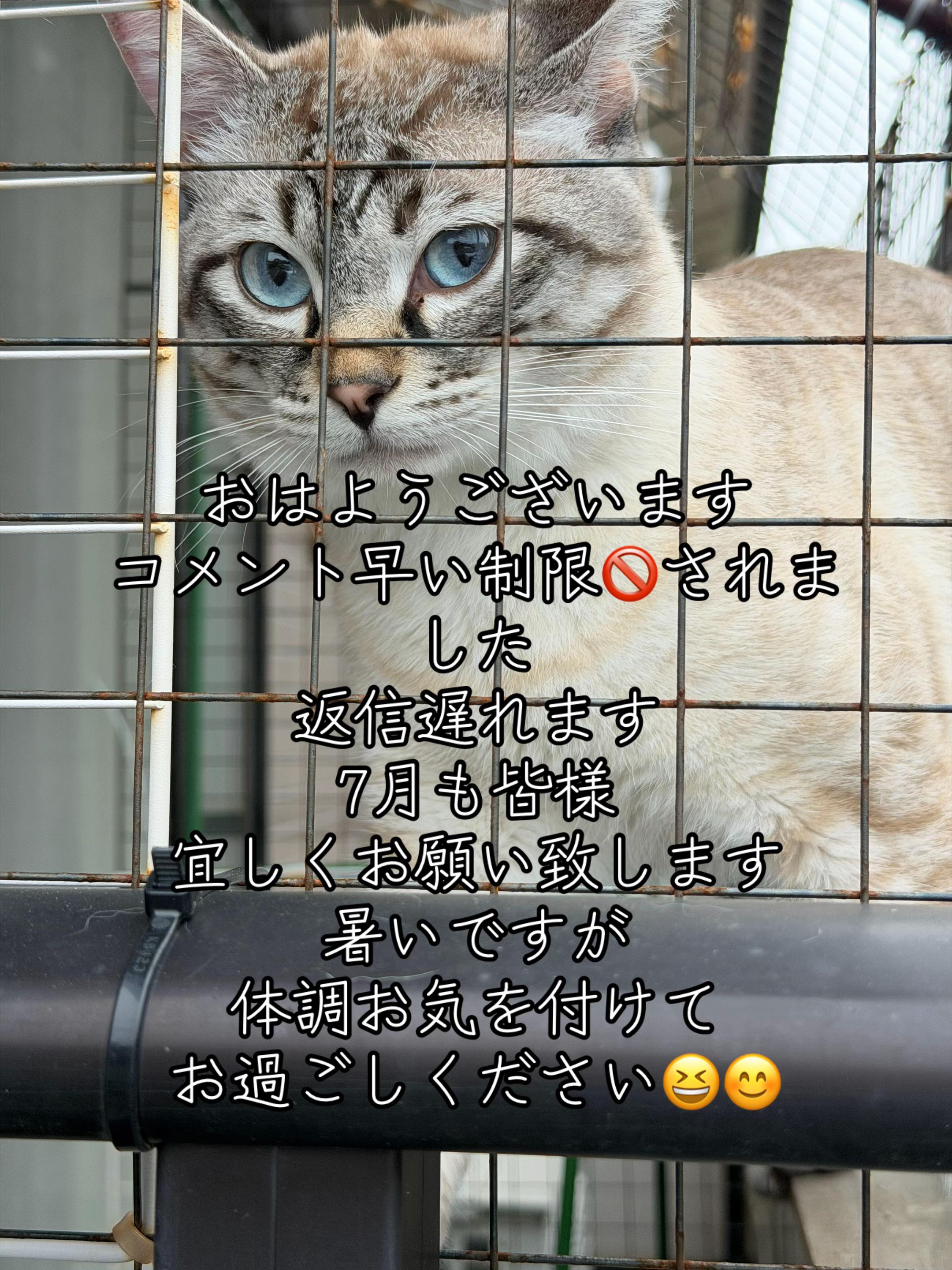 @ð¥é»æŸ€æ£å¿ð¥