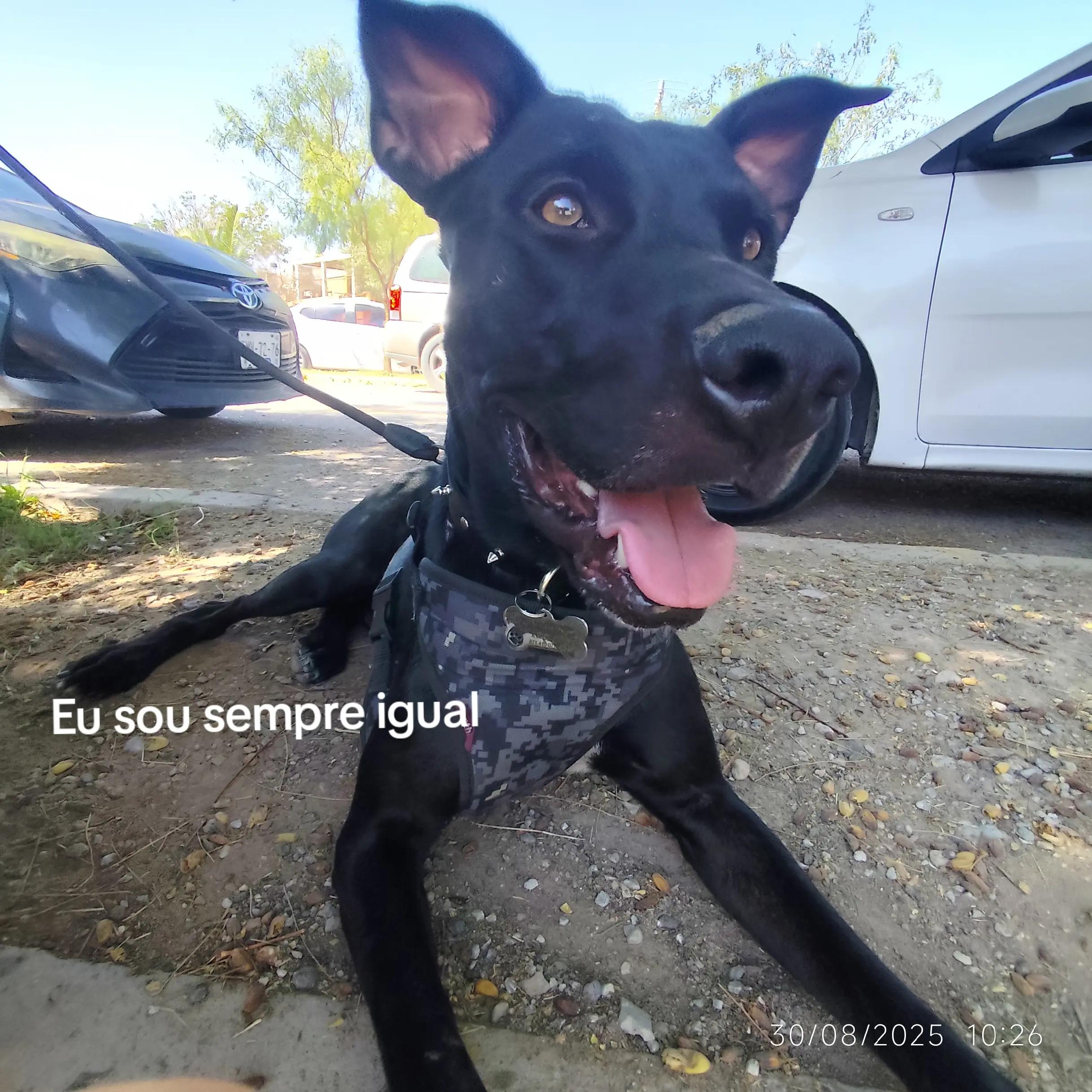 @Noe⁷
