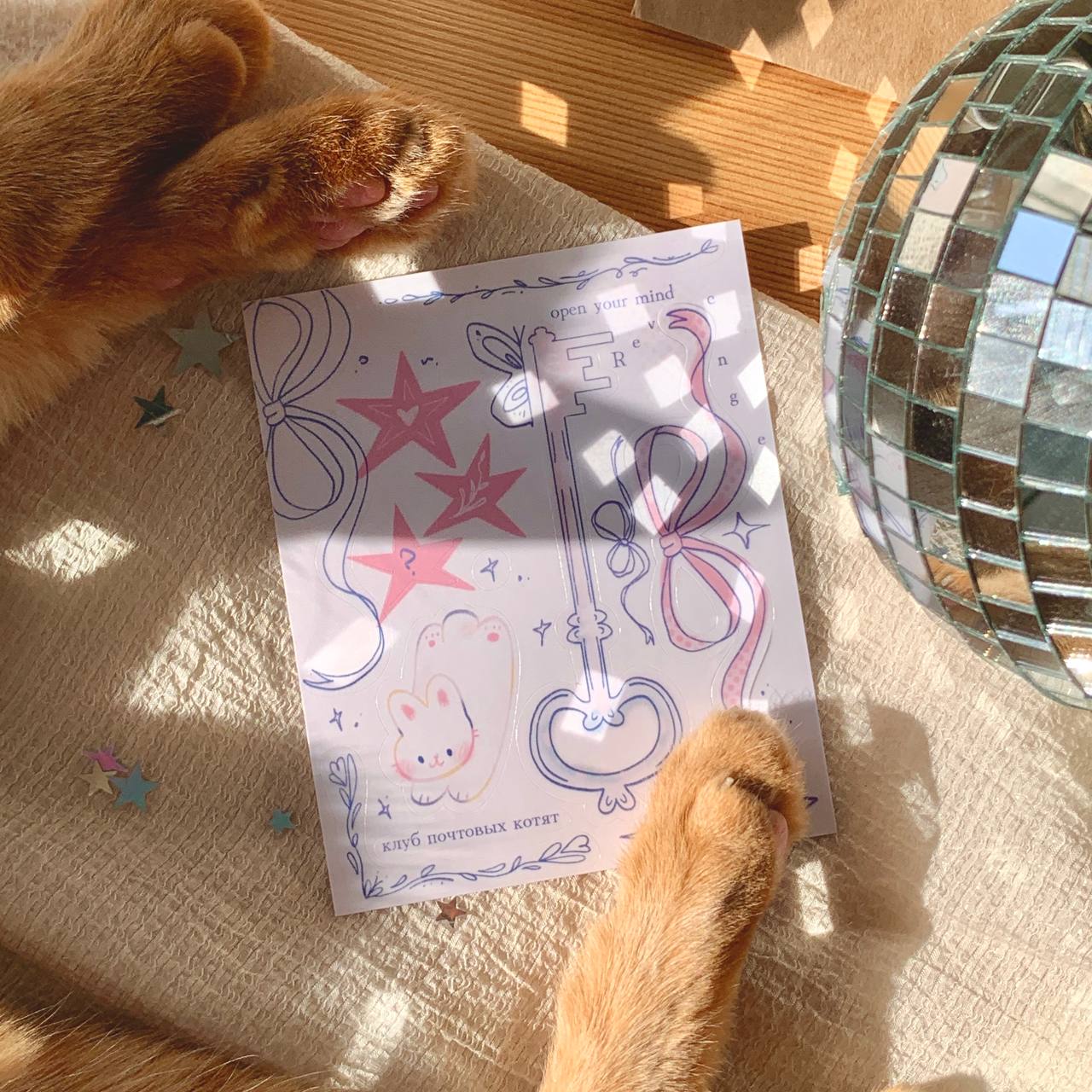 @розовый свитер🐾🩷😺