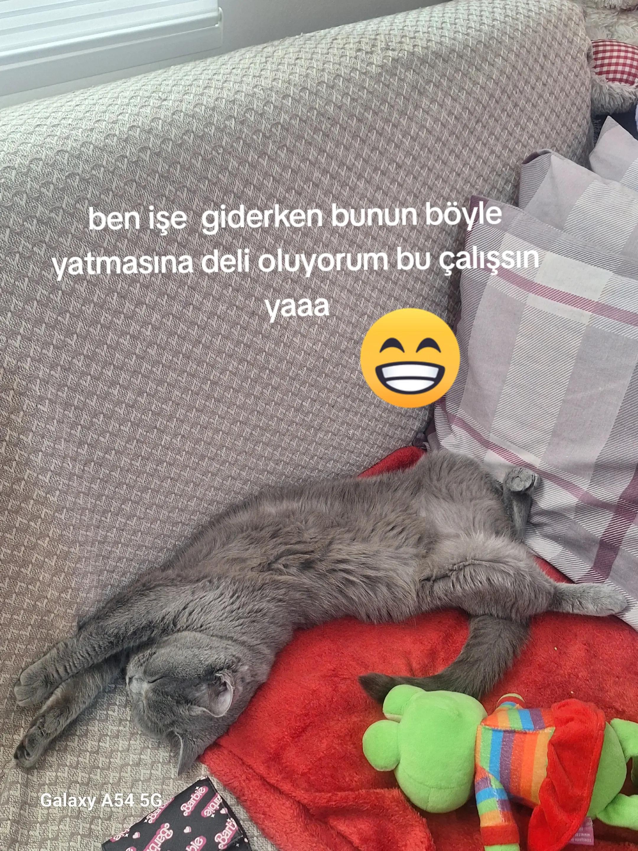 @semratekin 20