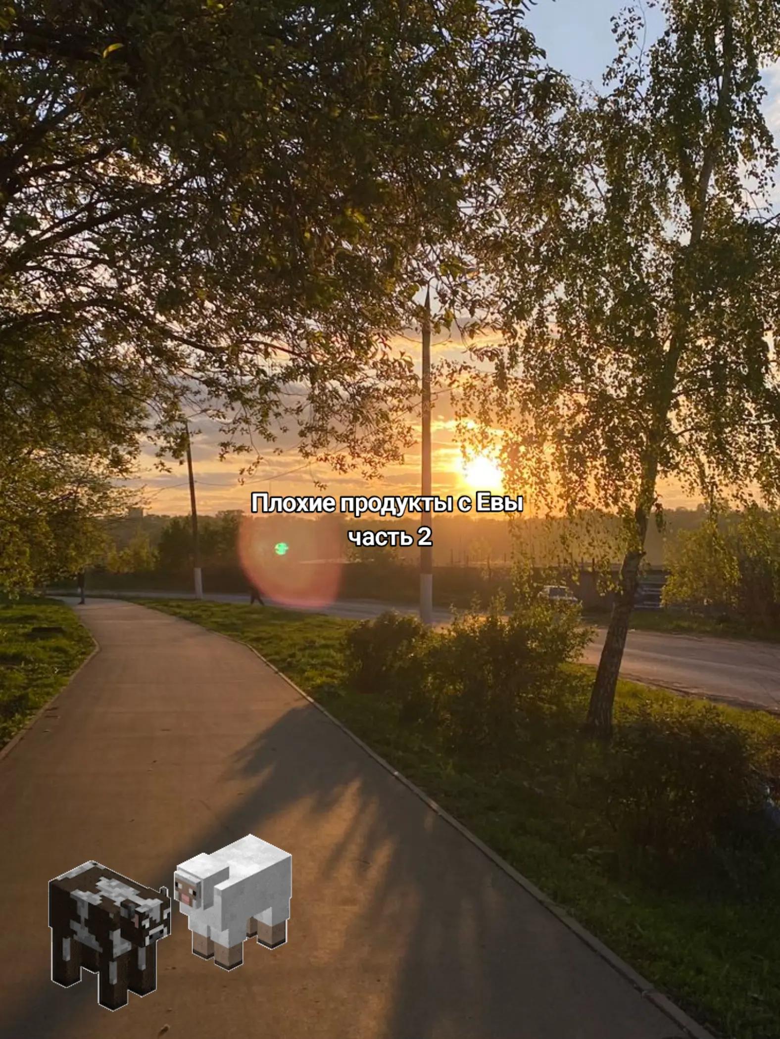 @не саша бьюти✨