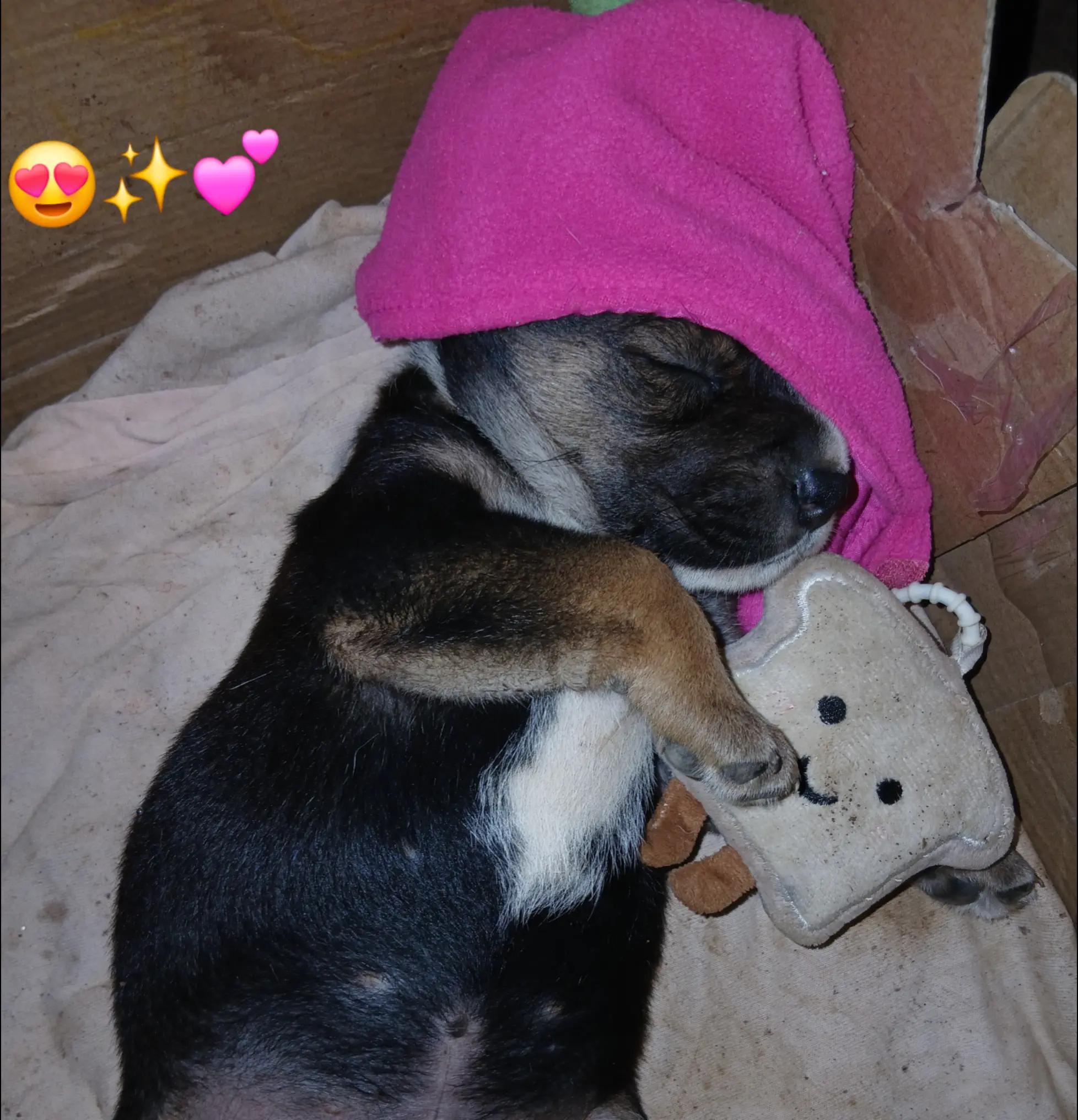 @𝓨𝓮𝓲𝓶𝓲✿