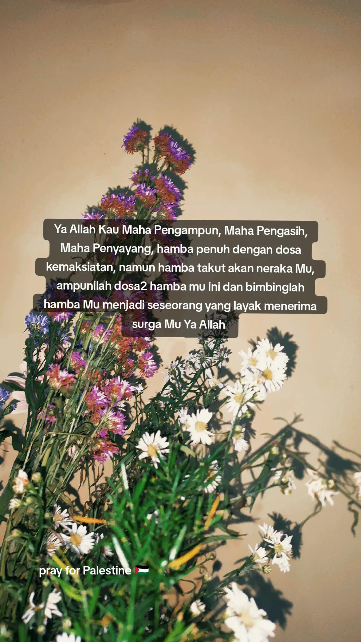 @No Lyrics 🎵