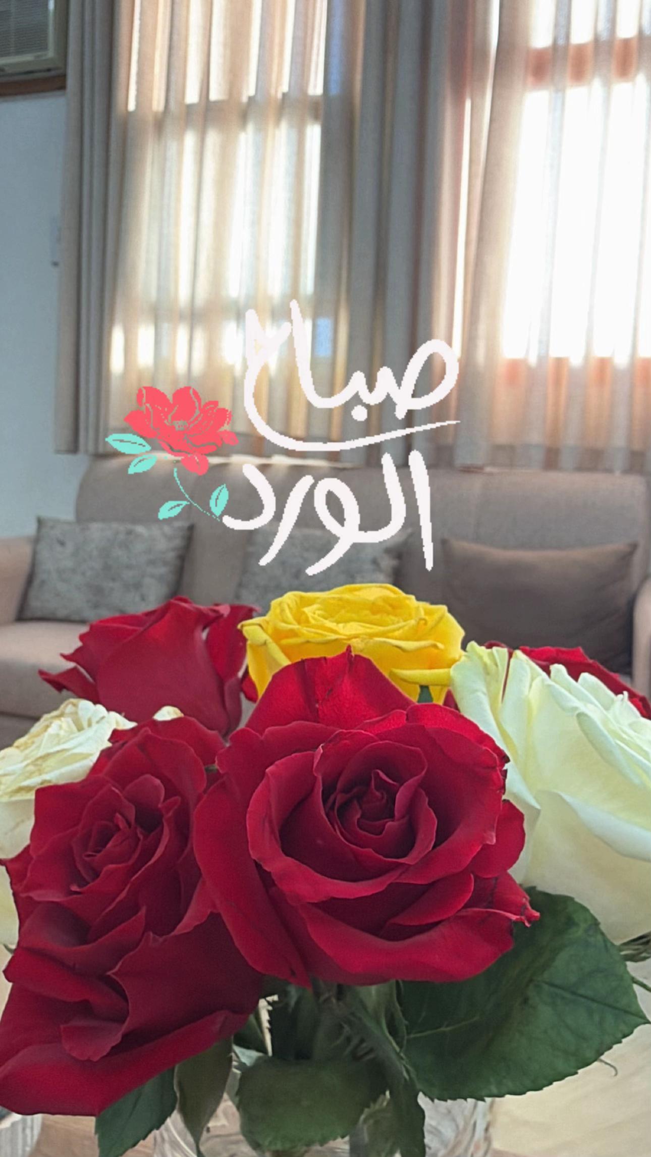 @T☕️Tإستثنائية