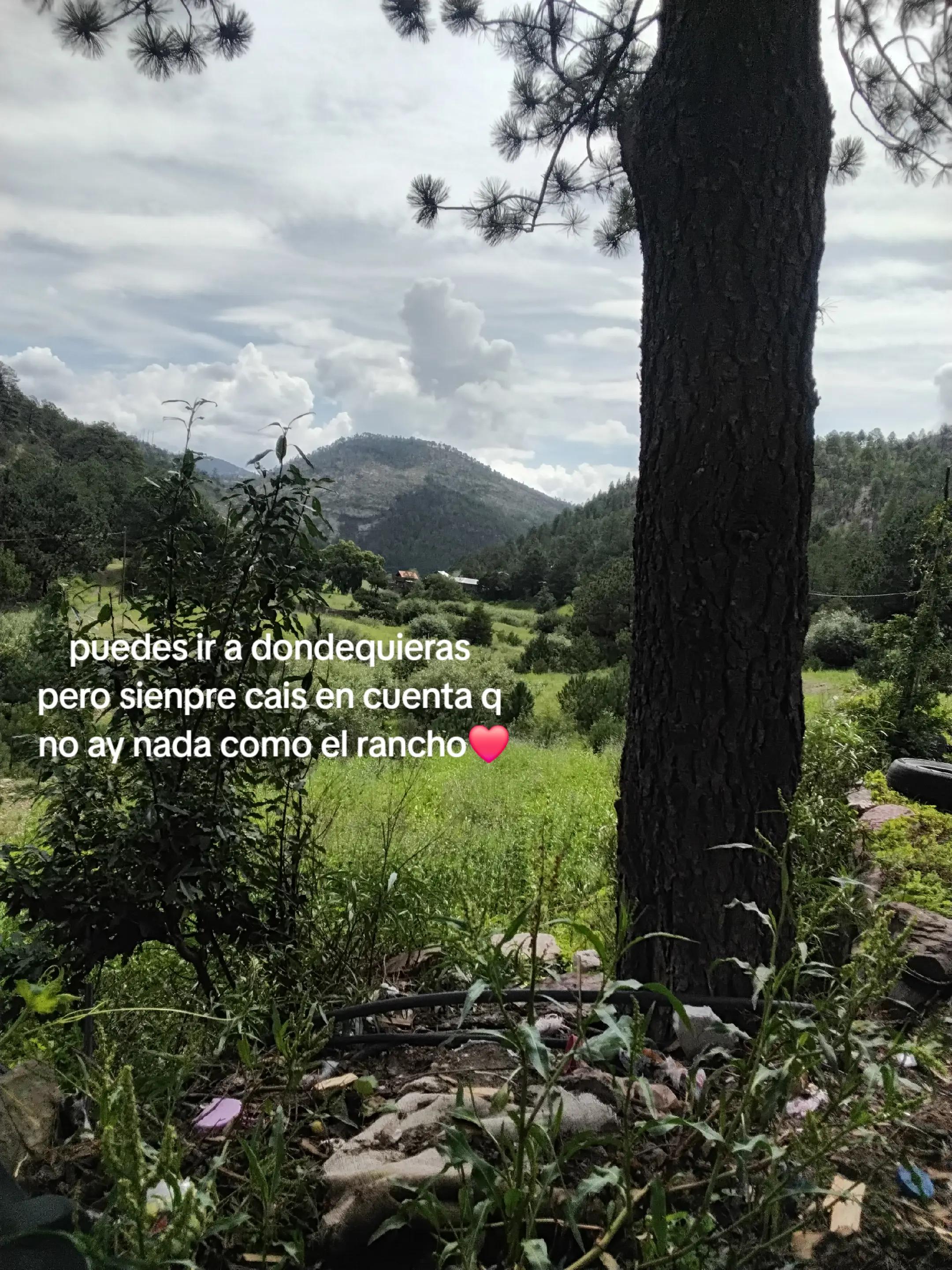 @Ana Salcido