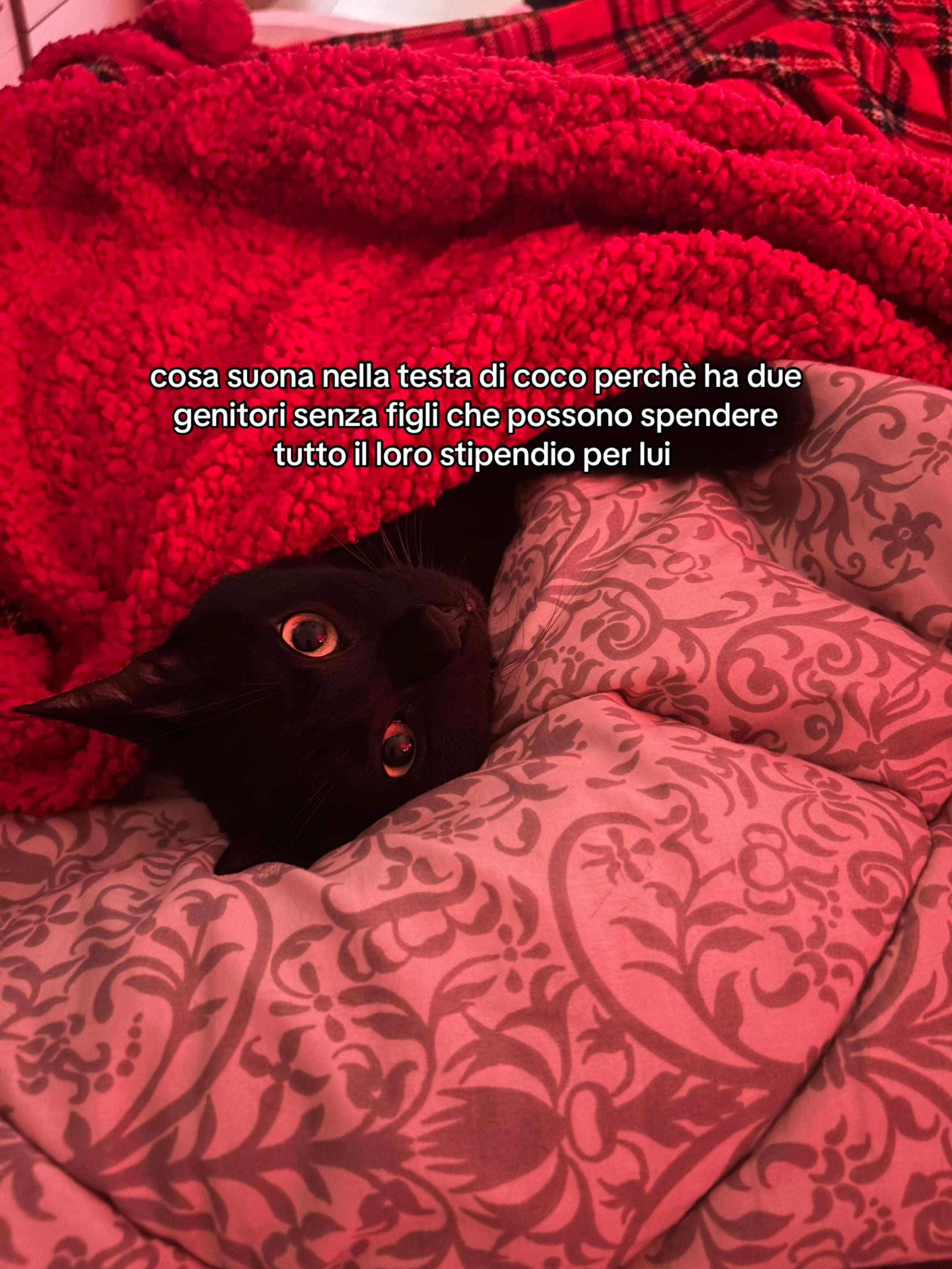 @Giorgia Saraceno