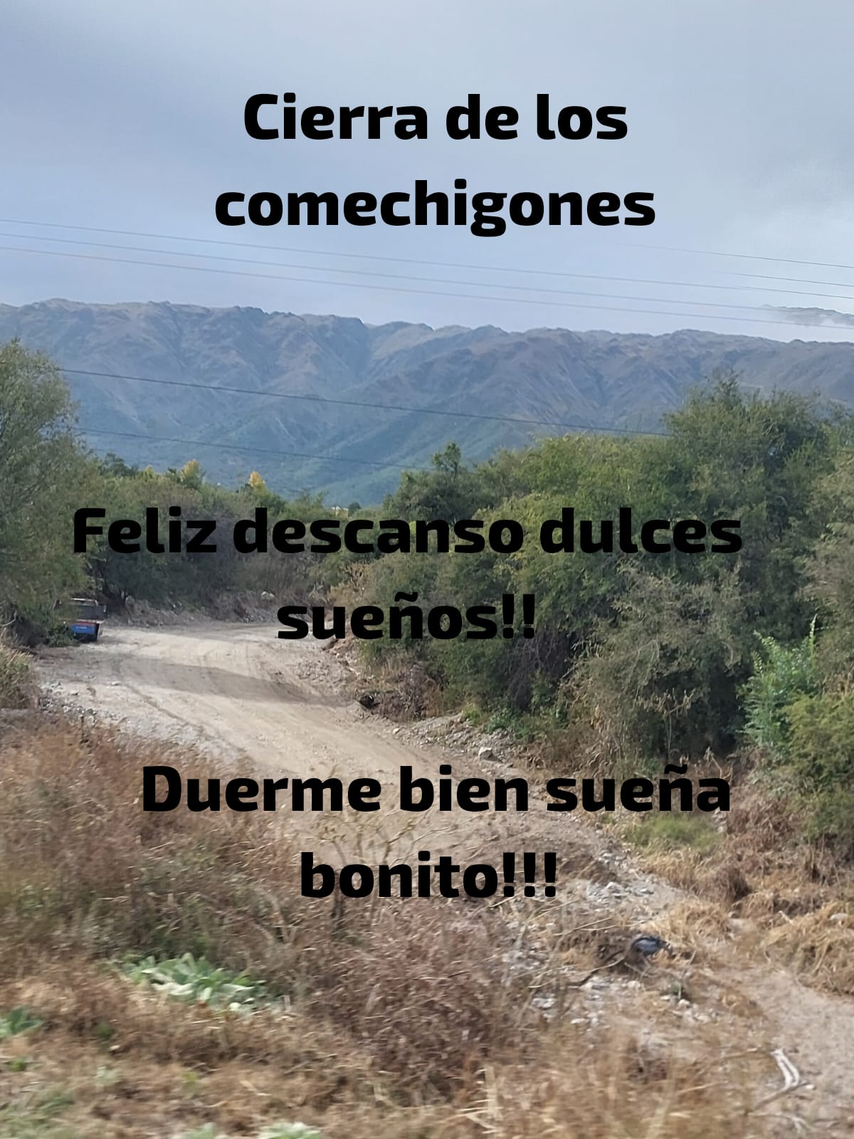 @normita