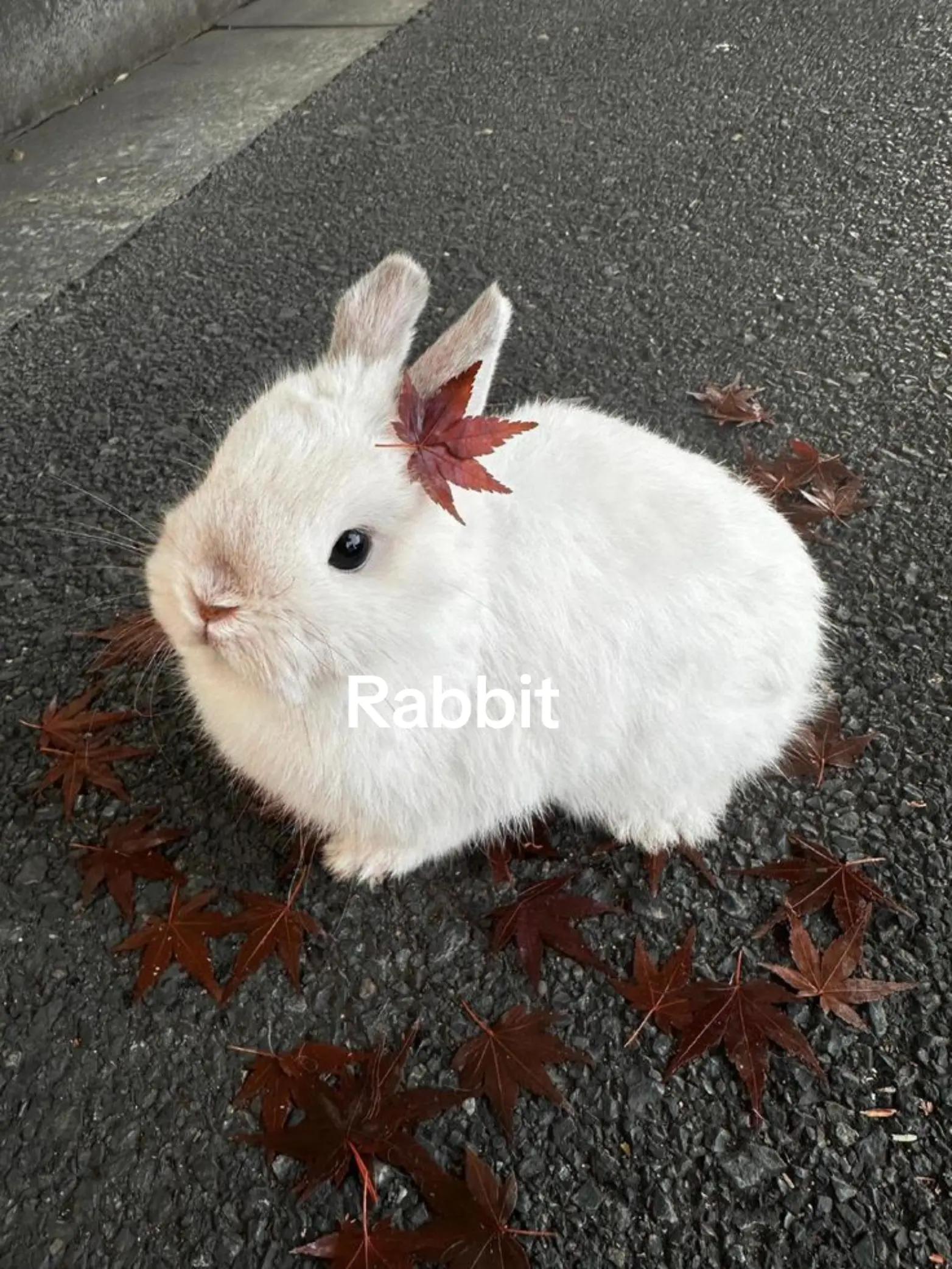@ใฒใใ๐