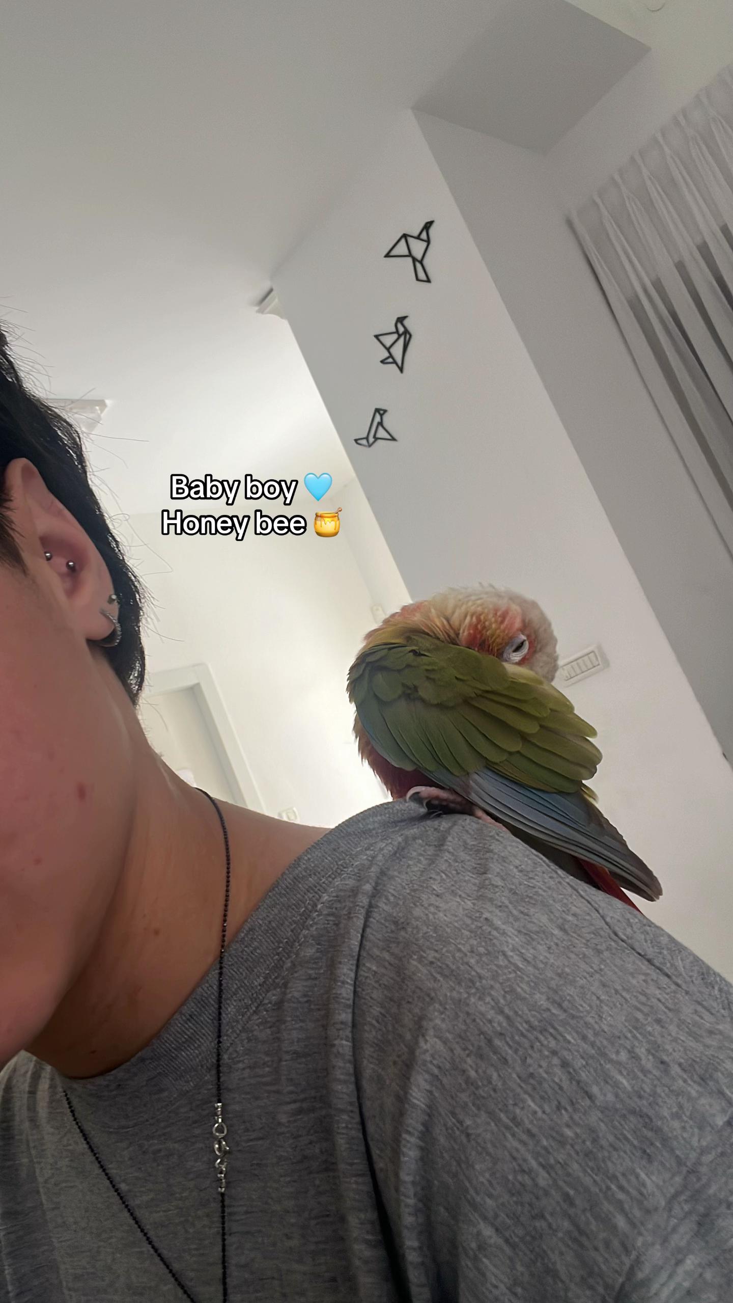 @Niv_💜💚