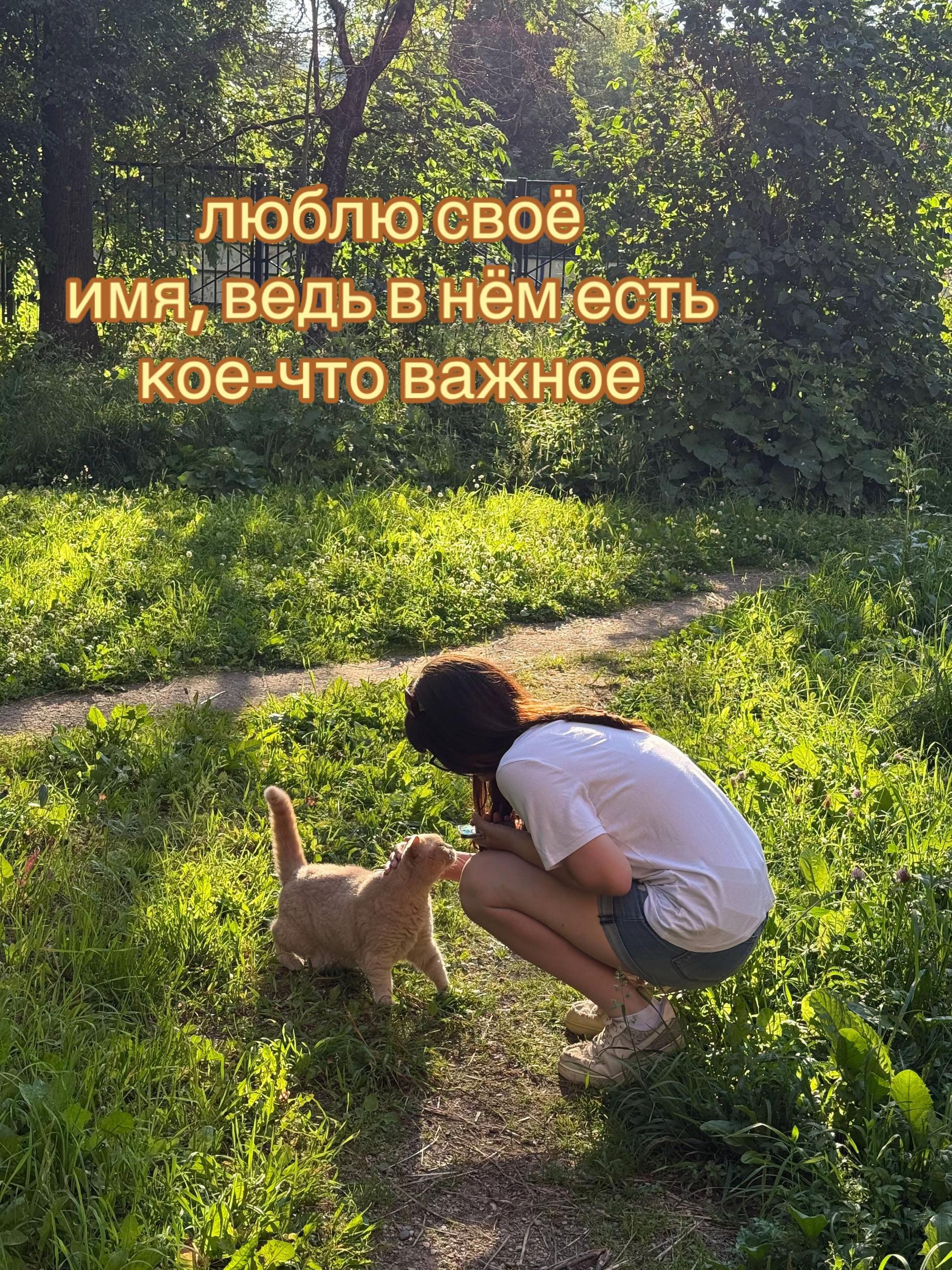 @вертiка 🪽