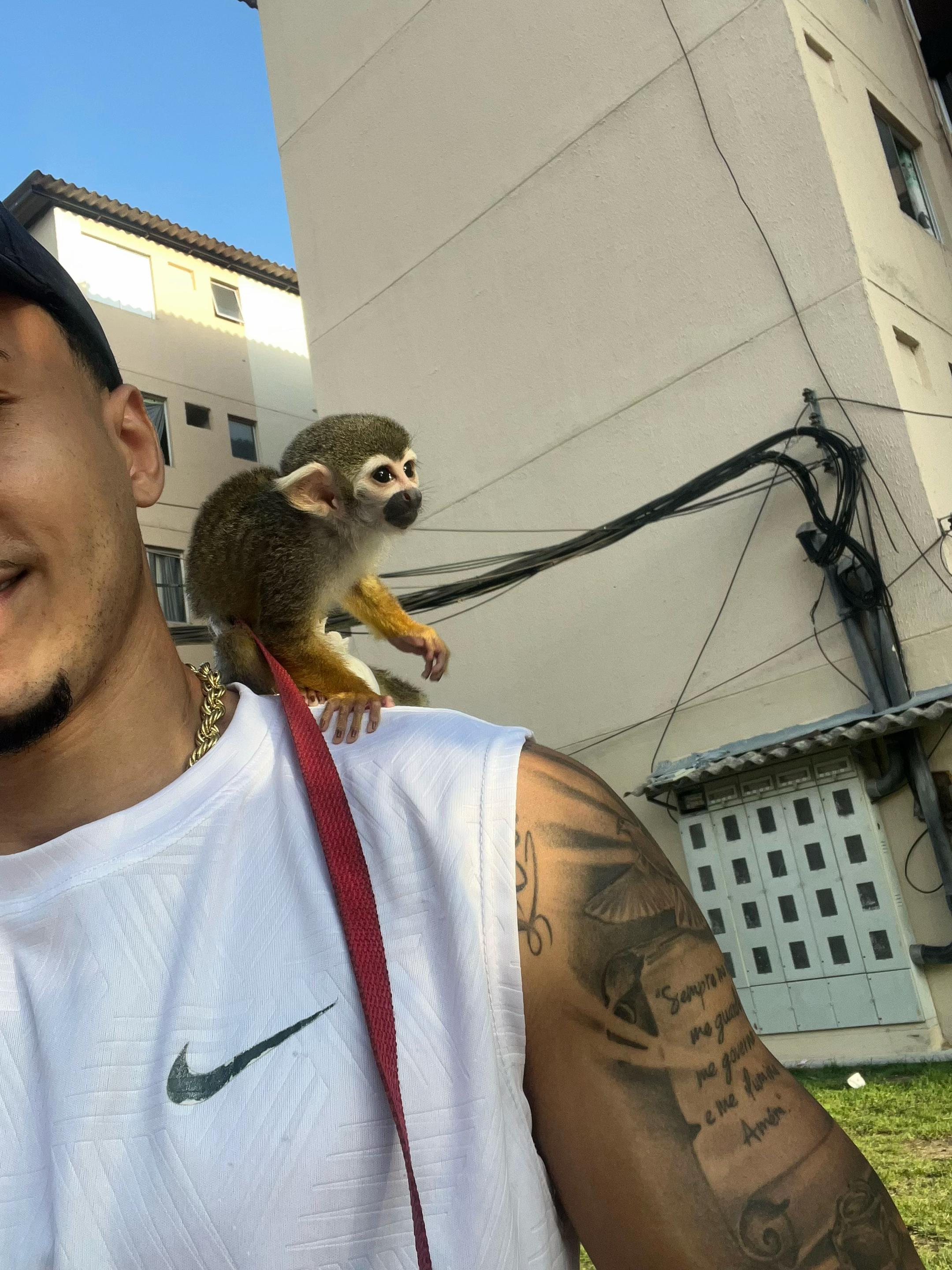 @pharrell00