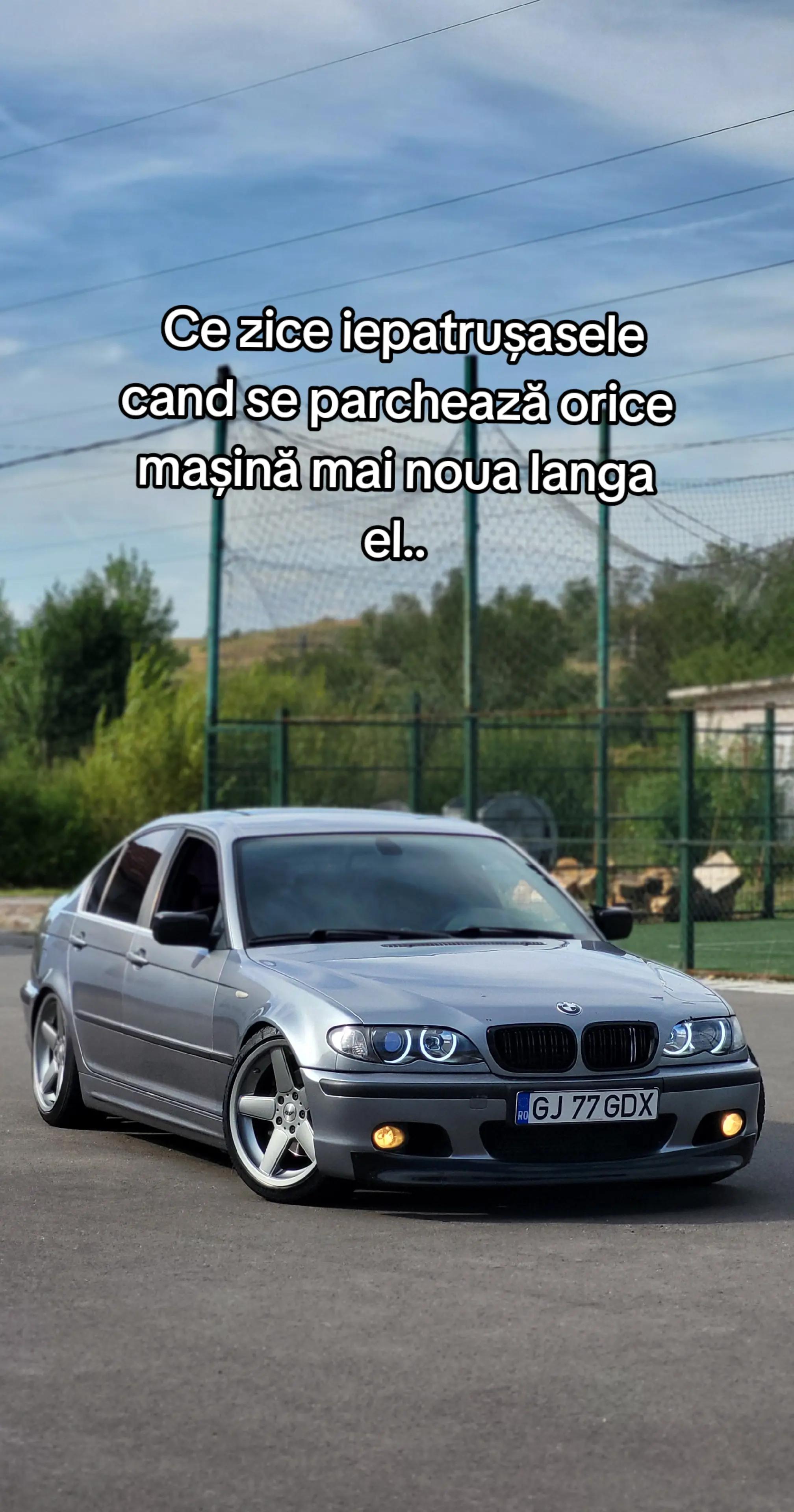 @gdenism24