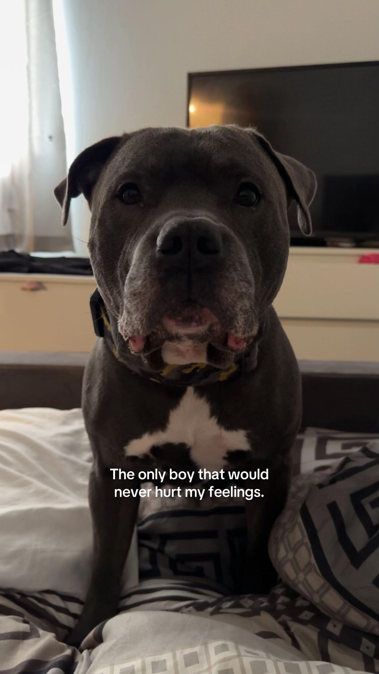 @busterandnova