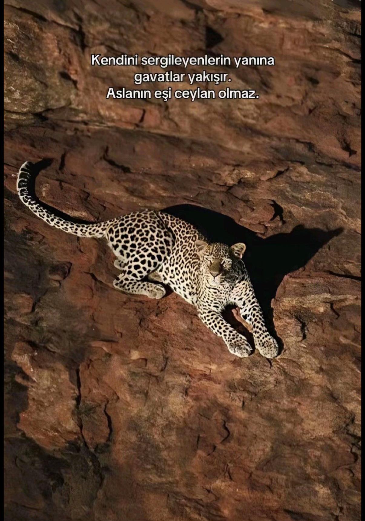 @𝐶𝑘𝑙𝑦𝑟𝑖𝑐𝑠𝑠