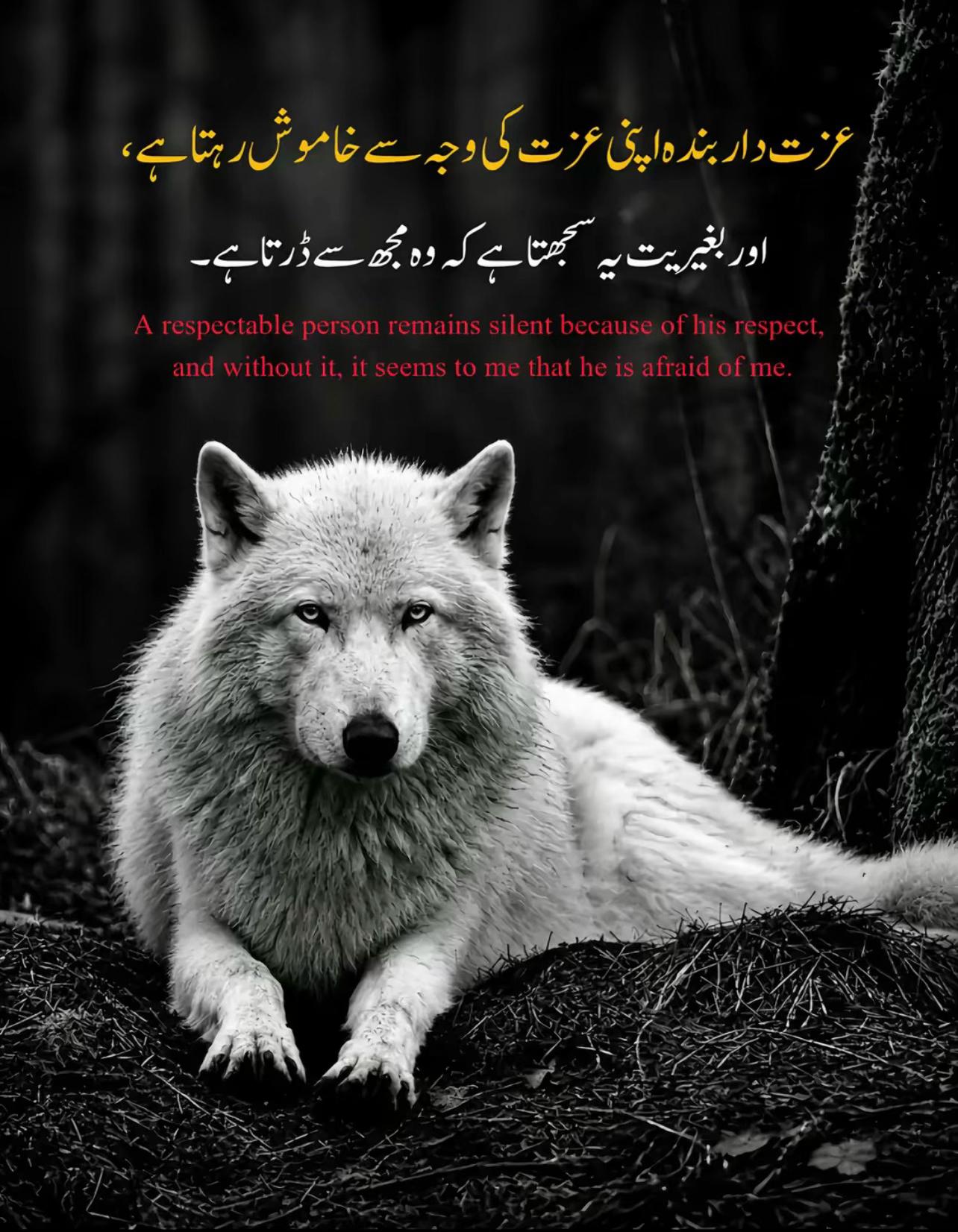 @Attiq khan