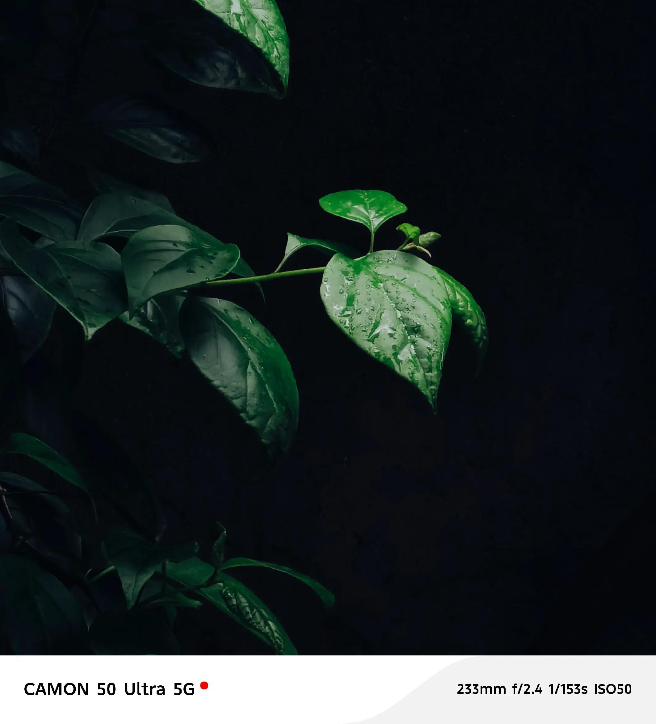 @Dz&times;l