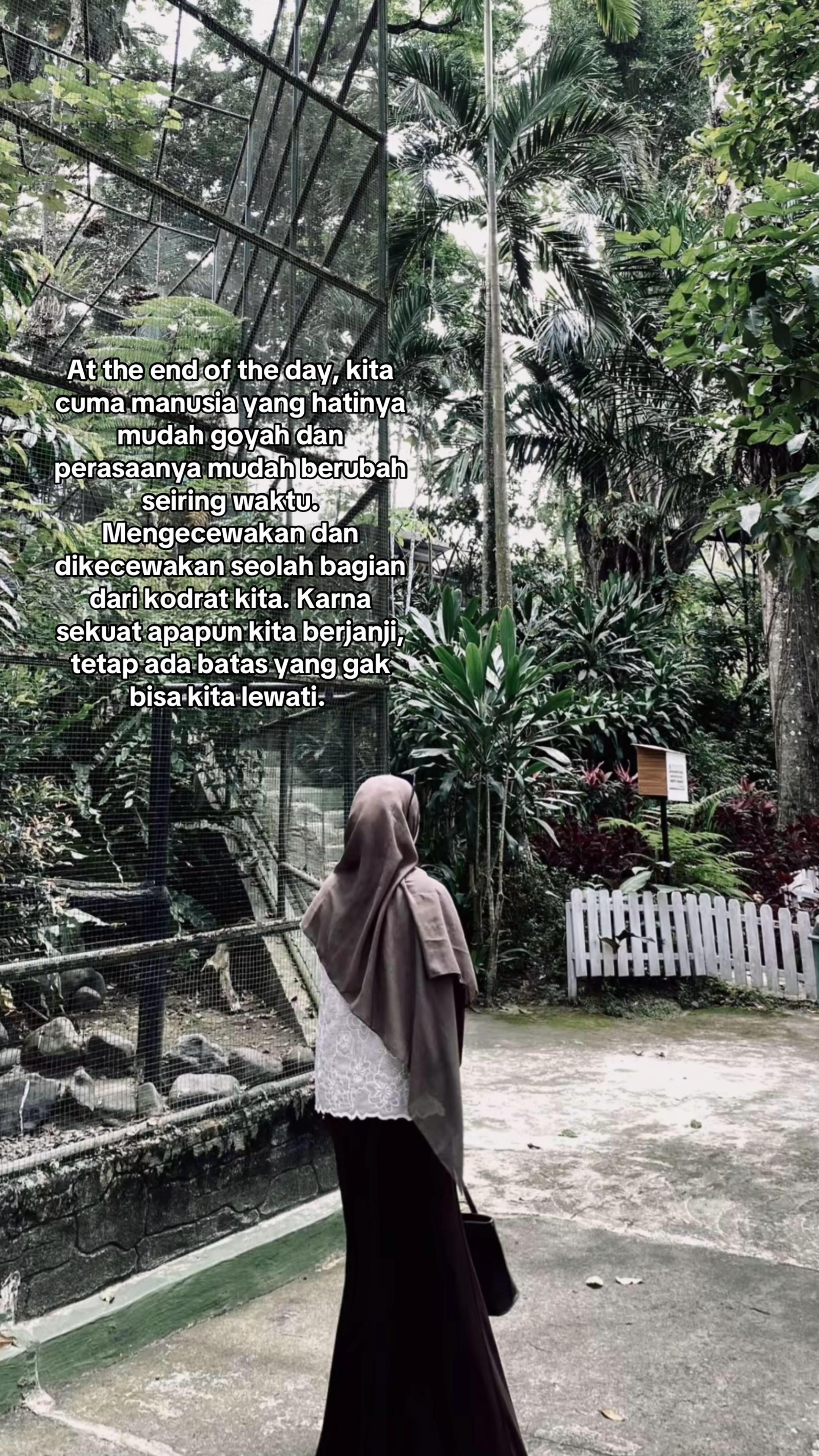 @Windyyy