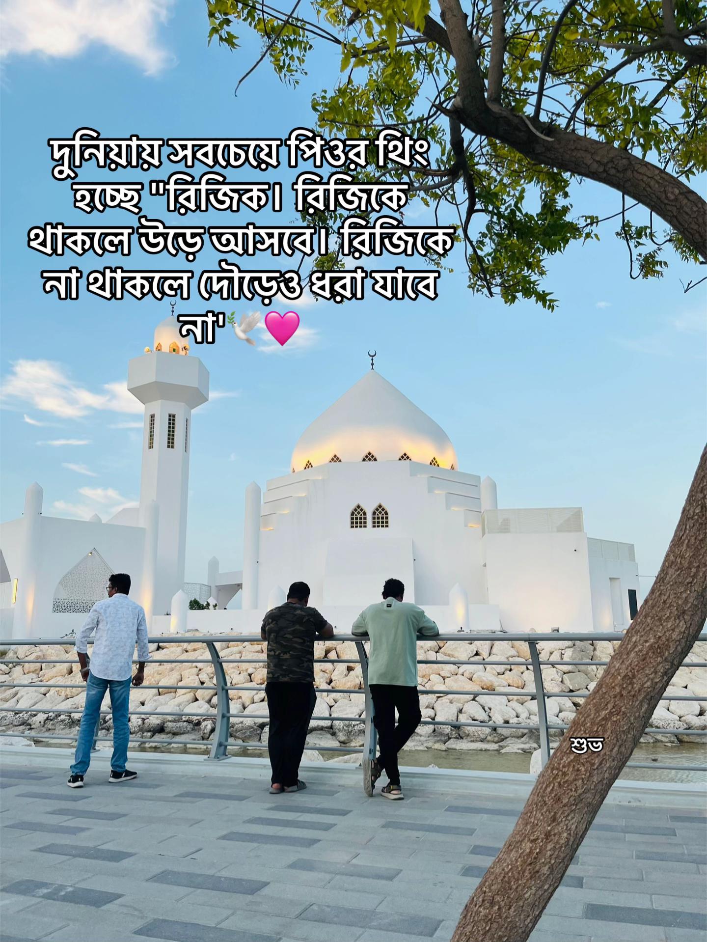 @🌙ShuVo 💐
