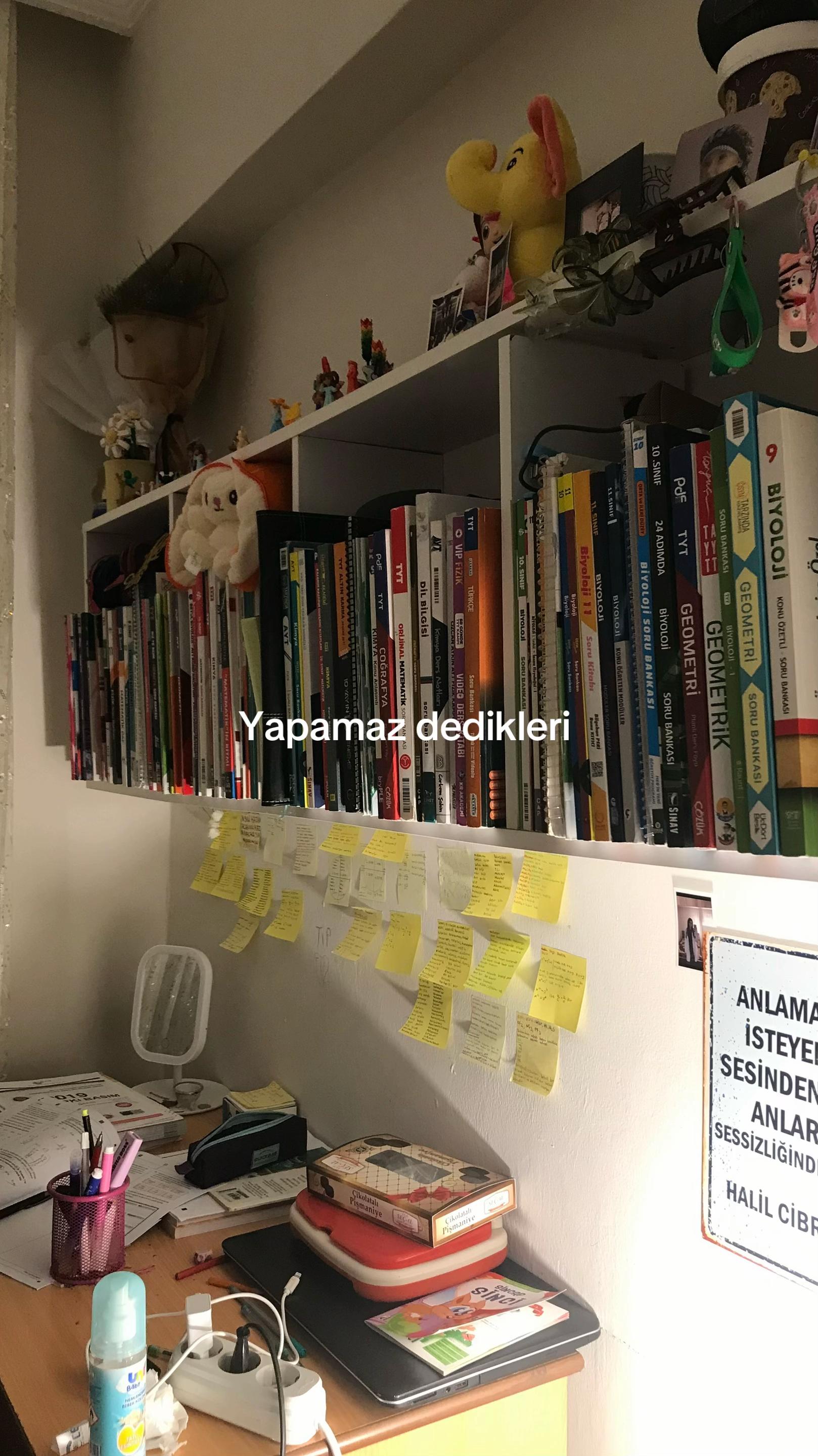 @Açelya~