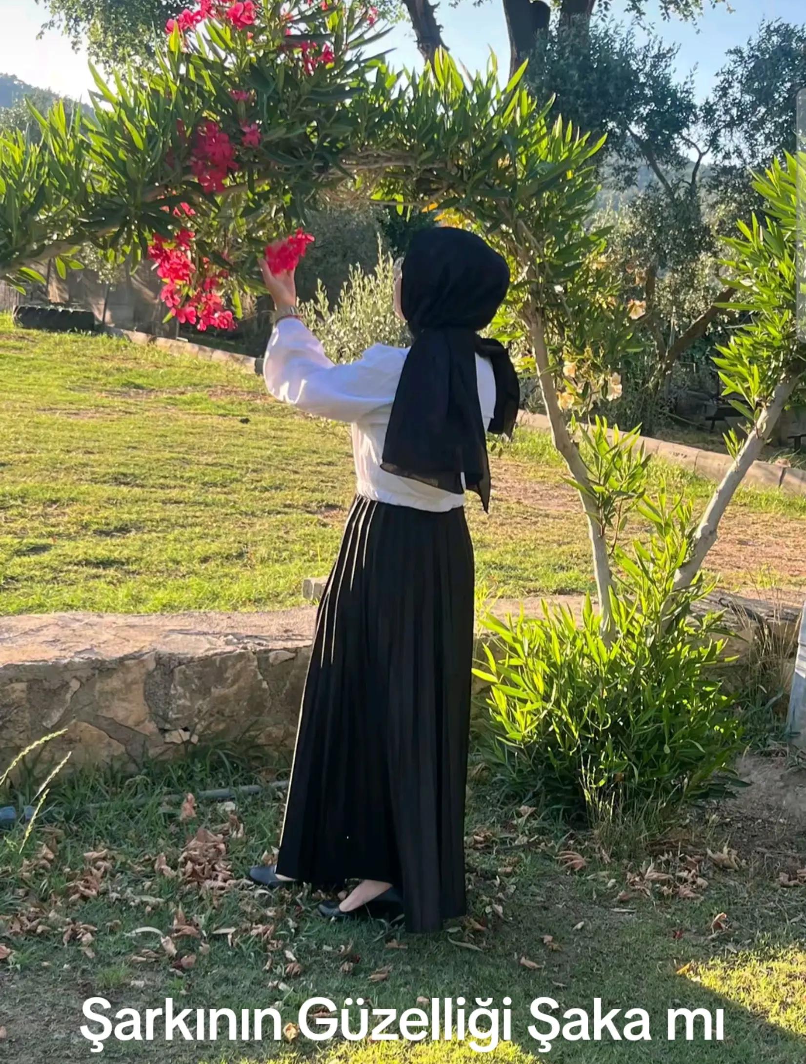 @Sultan