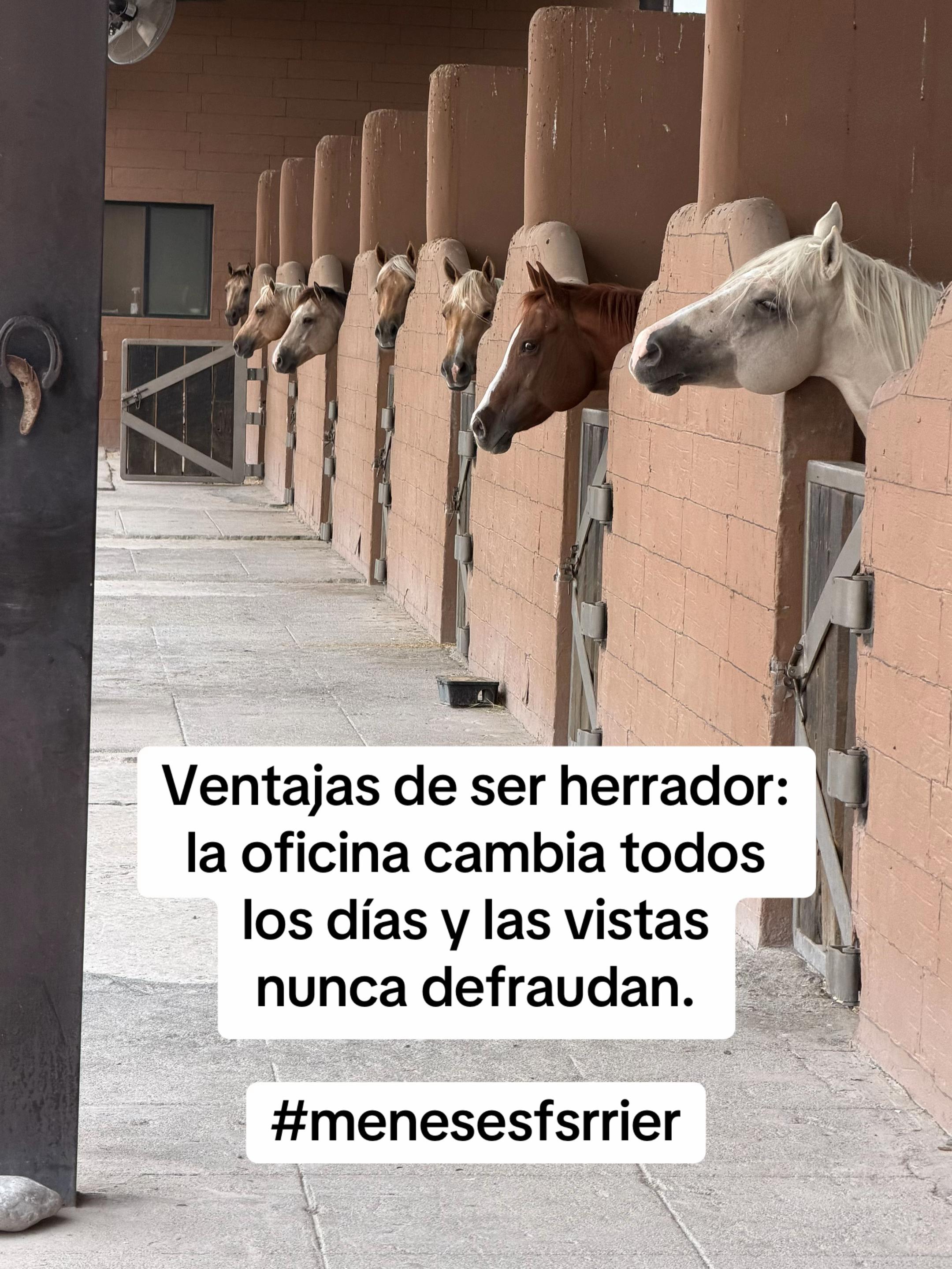 @Meneses Farrier