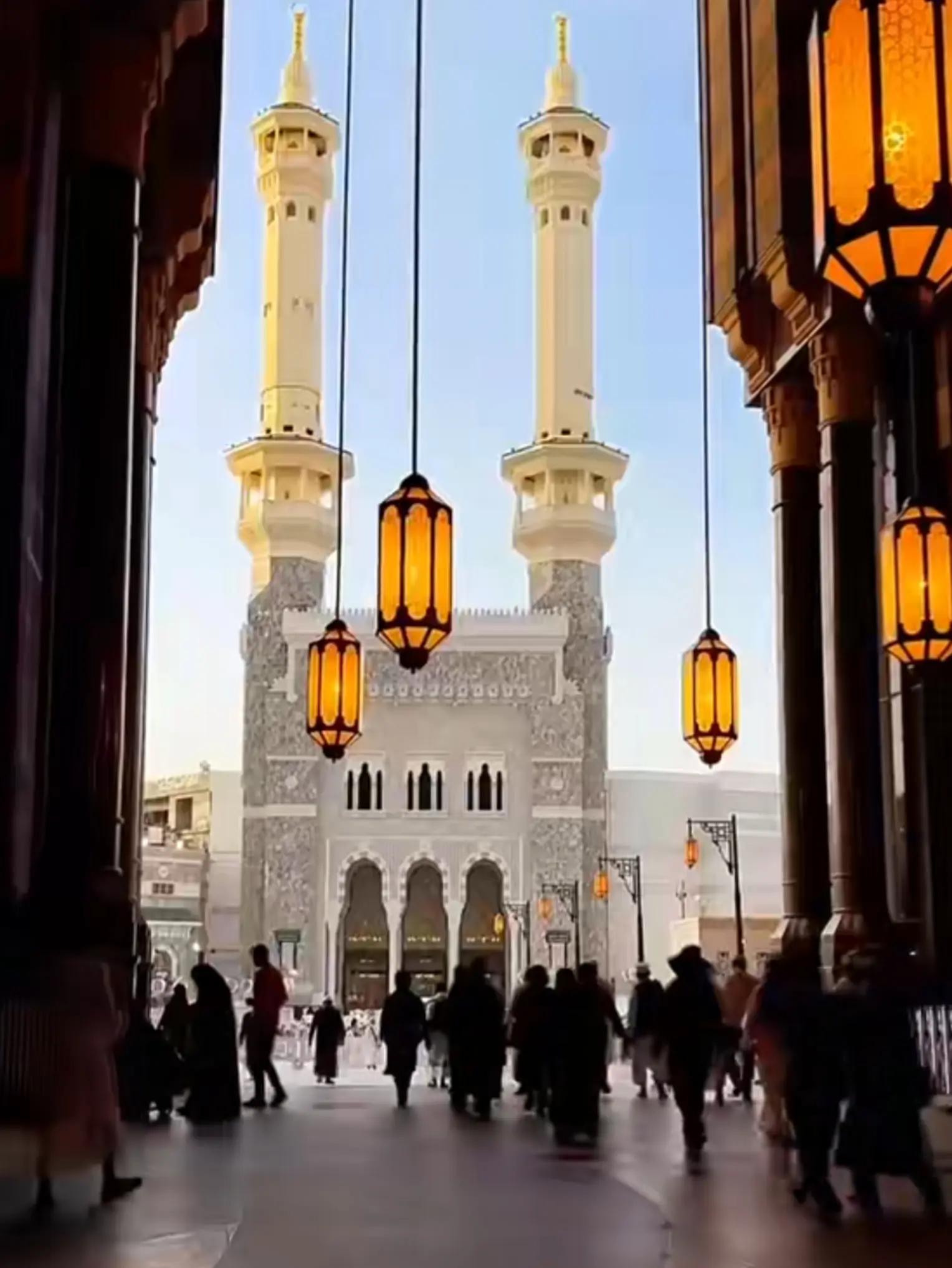 @Vibe_Master_Umar🇵🇰🪖