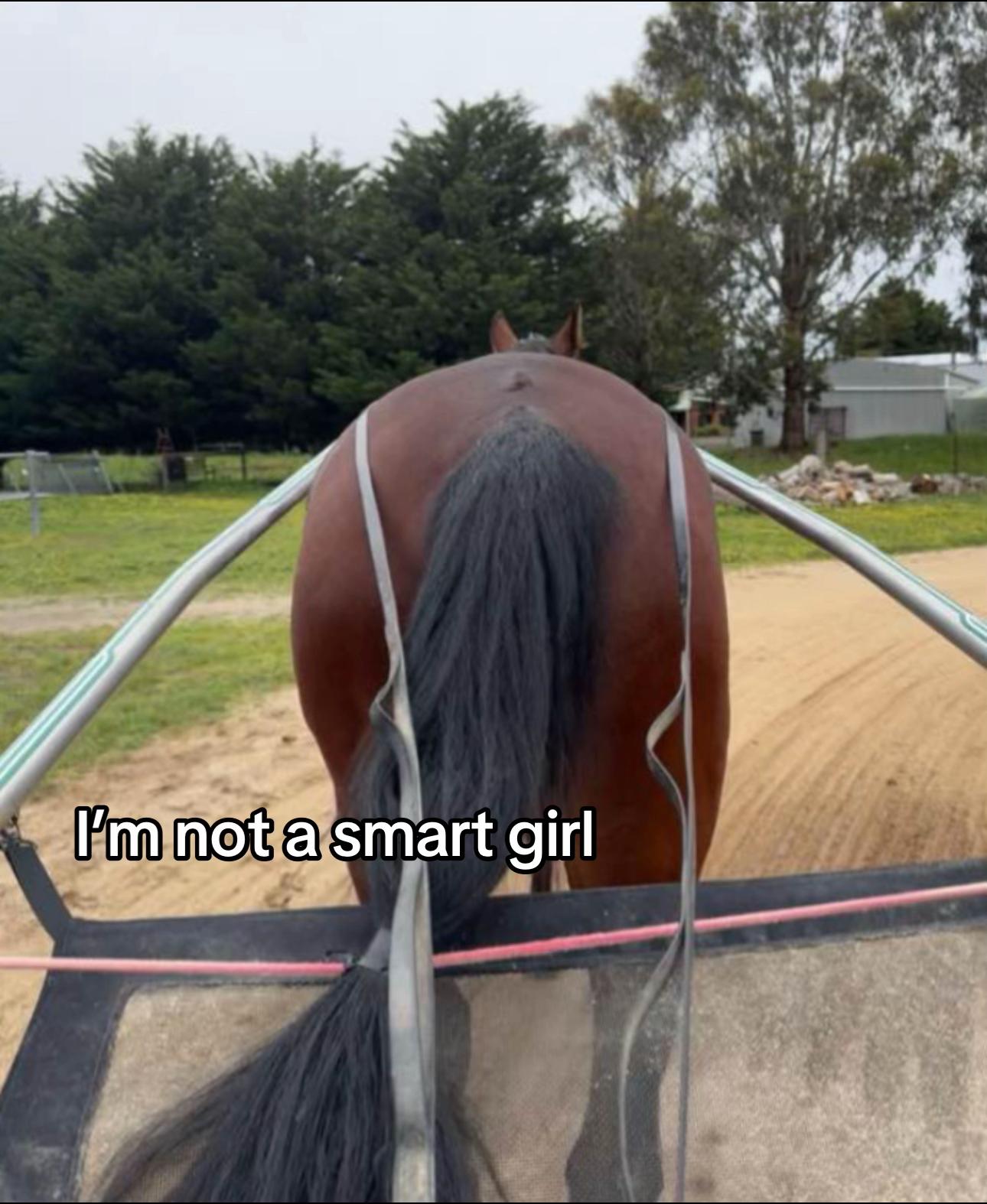 @Brynn.eq