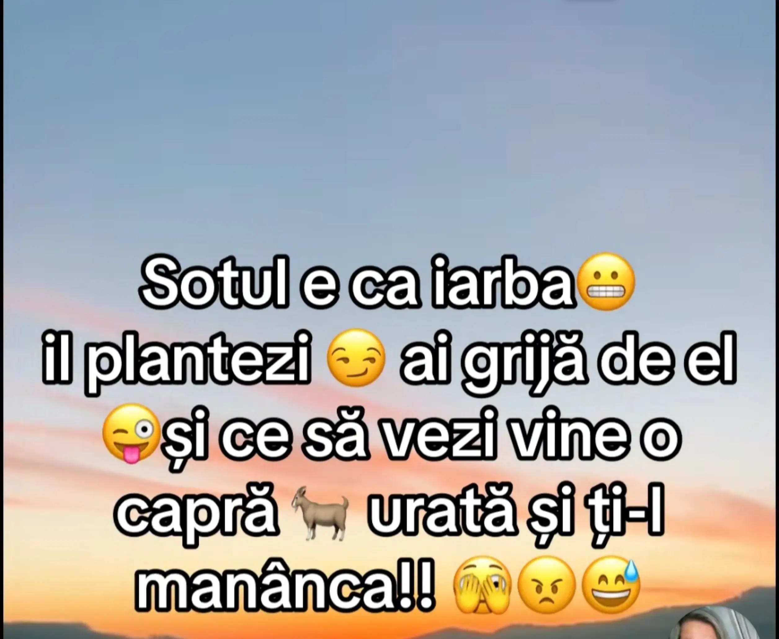 @Anica