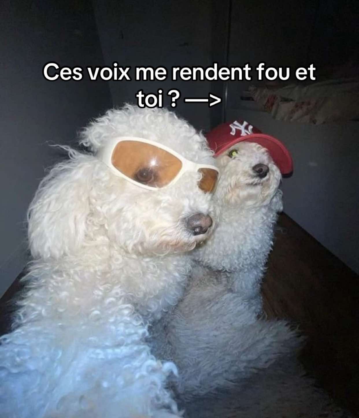 @Mario