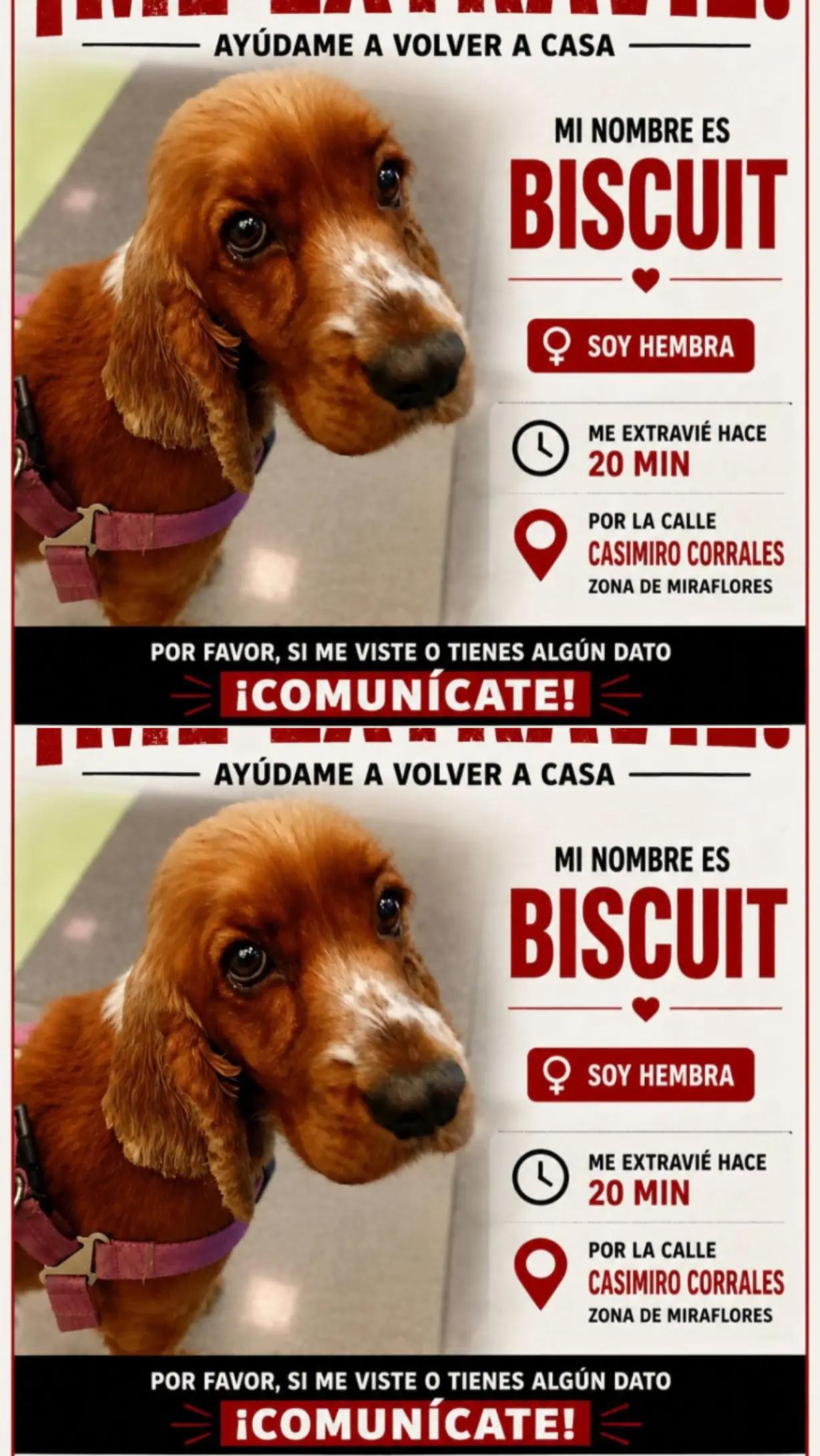 @Doña Señora D