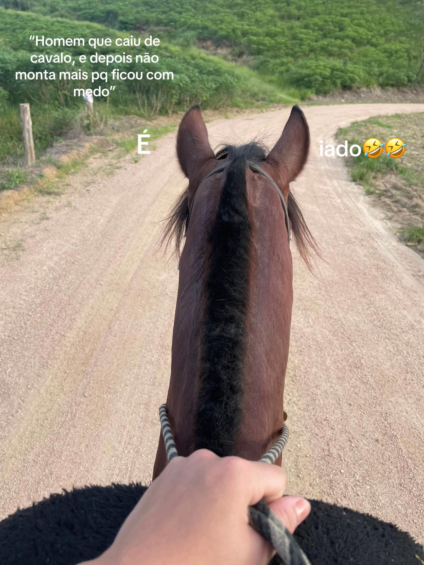 @Dona do Colorado🤎🐴