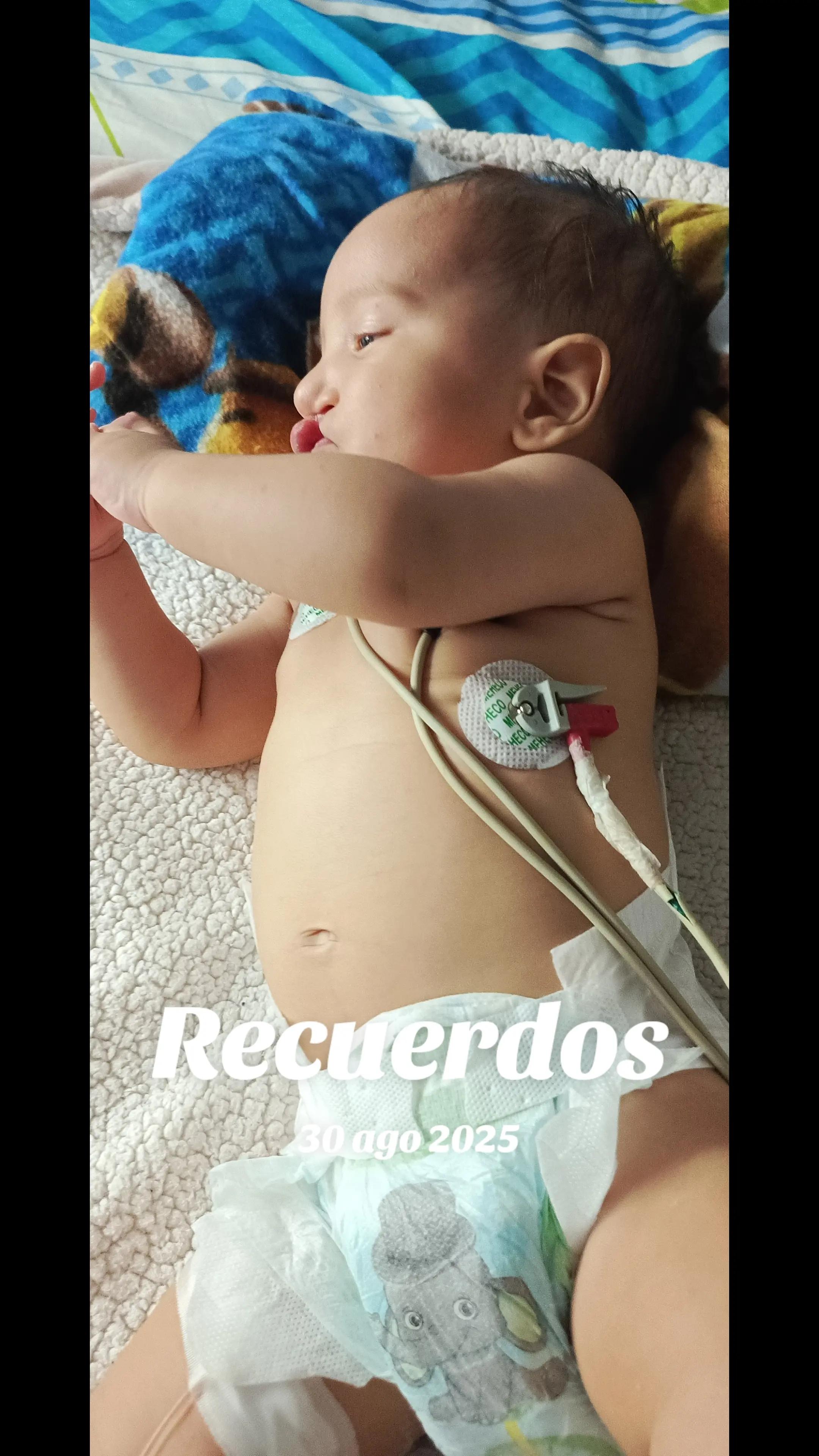 @Analiesse Mar&iacute;n🇻🇪