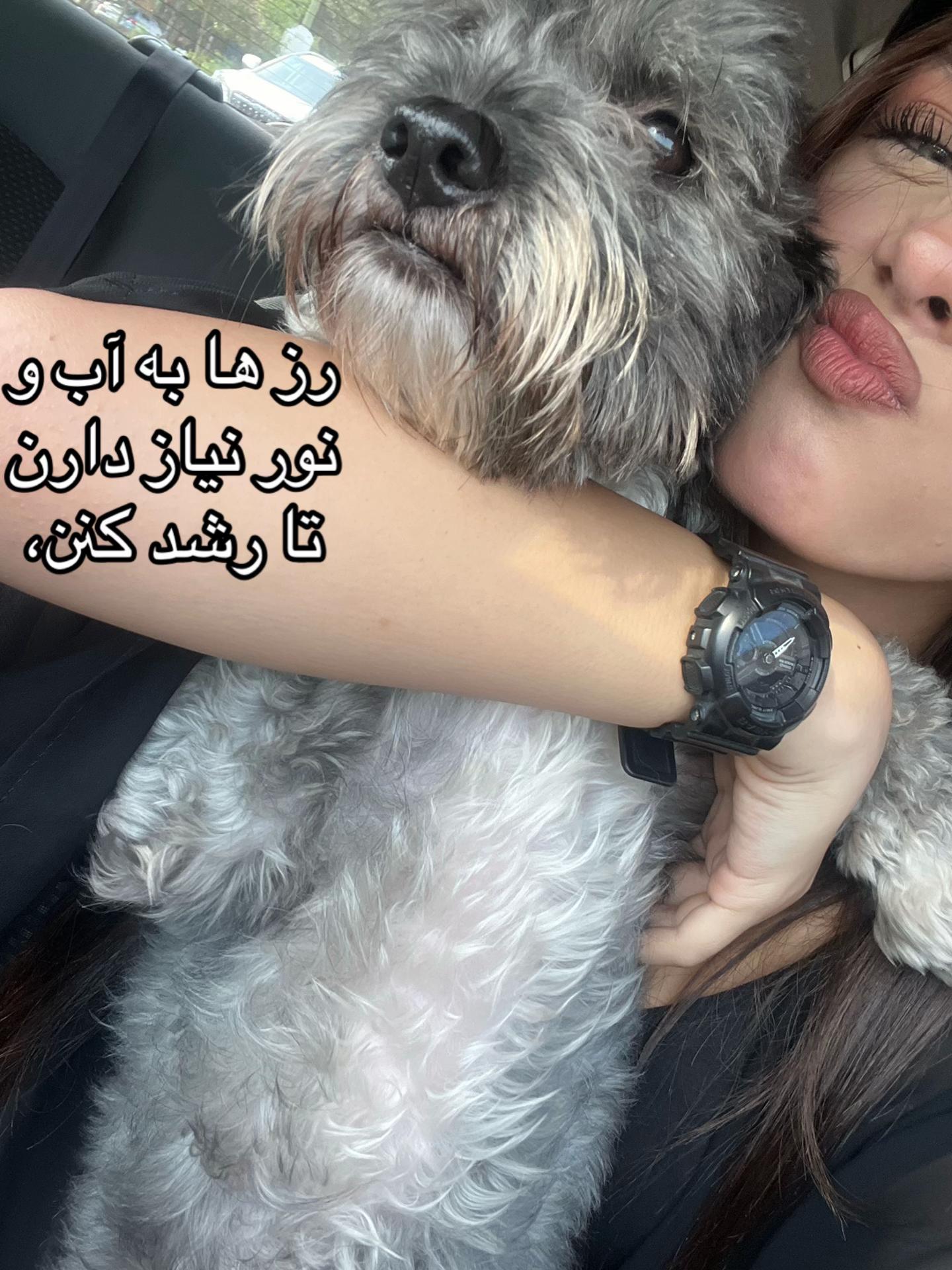 @RASTA