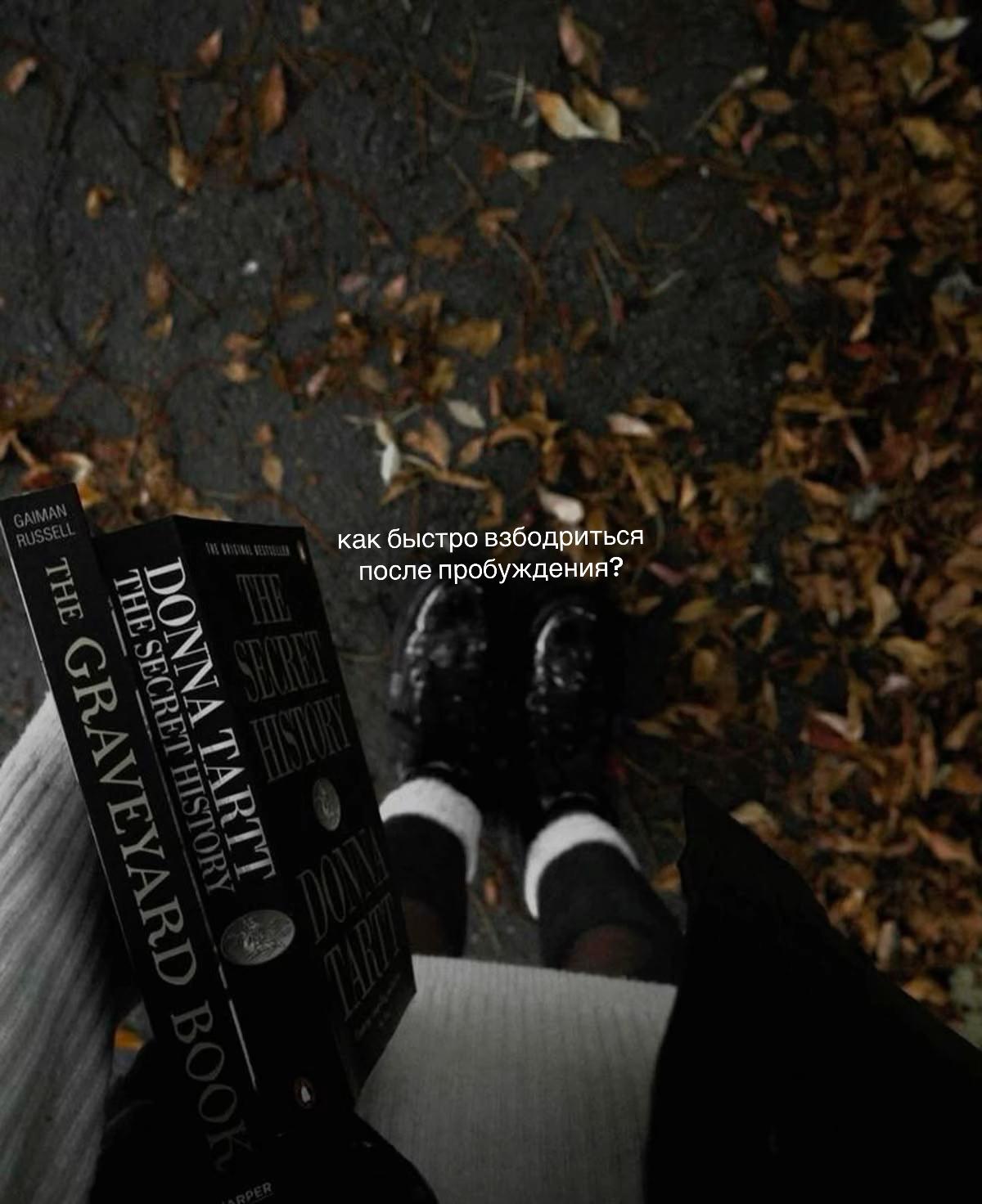 @. 𝄞⋆ ⋆𝐦𝐢𝐧𝐢&rsquo;𝐬 𝐯𝐥𝐨𝐠𝐬.