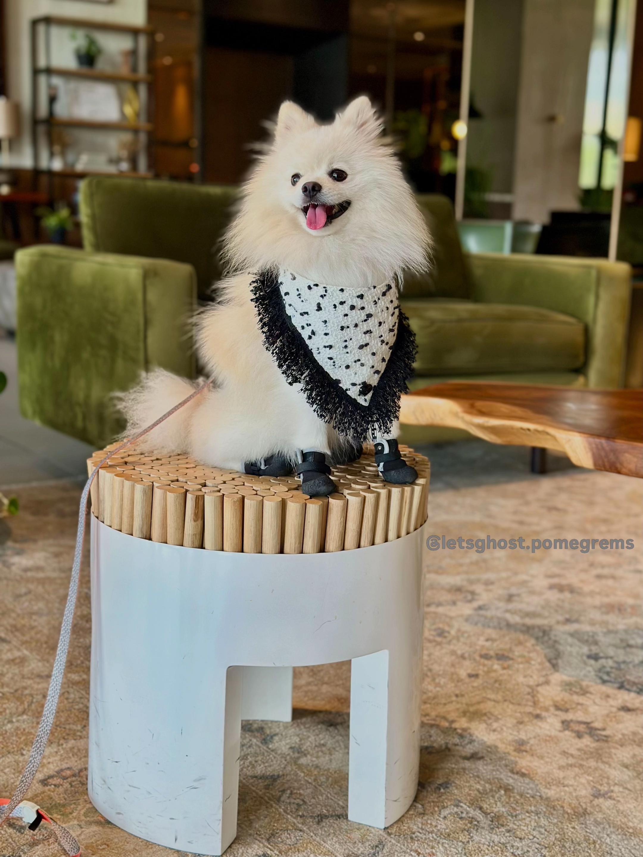 @G H O S T TheRunnerPom