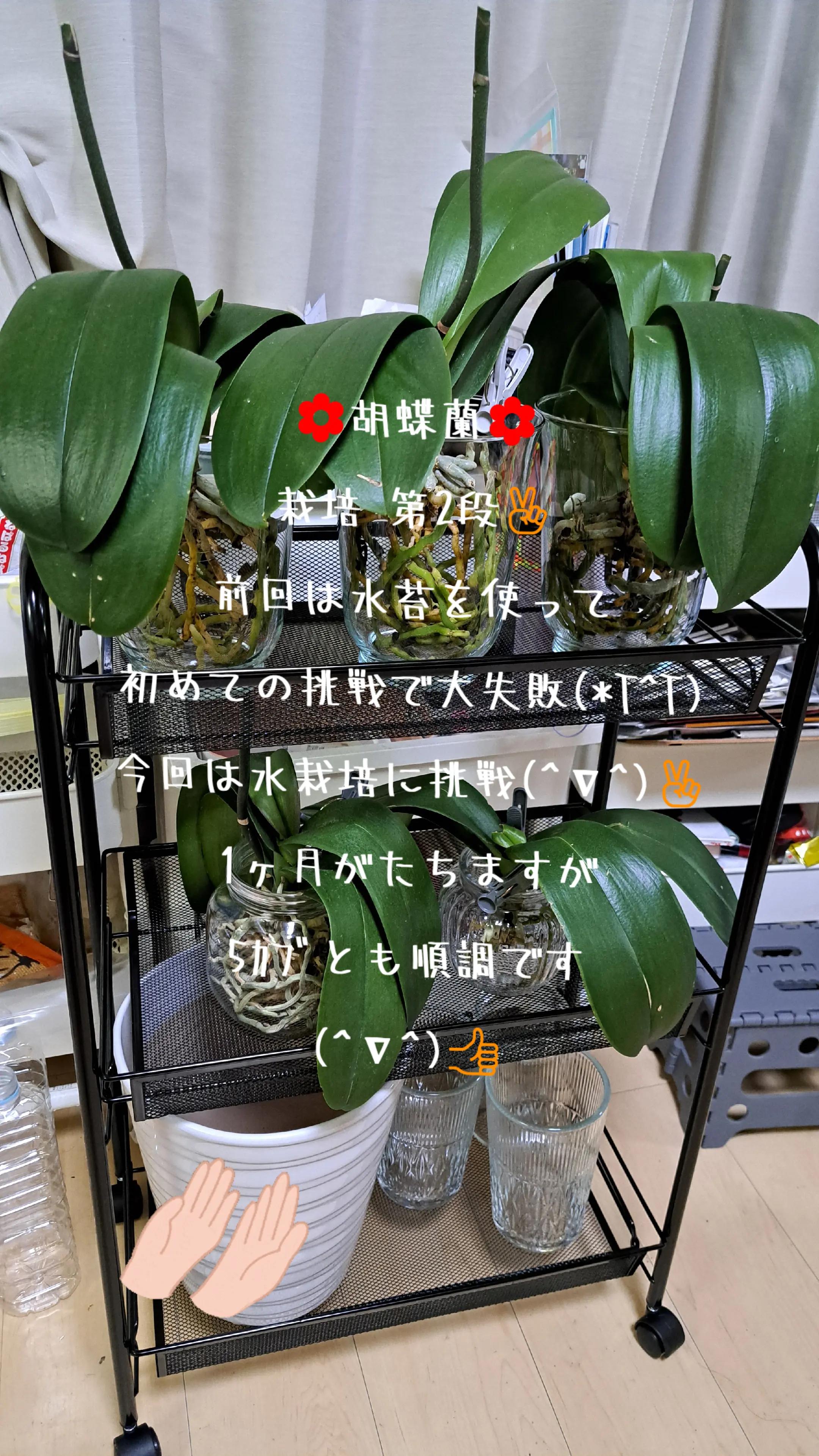@🌊🌊波🌊🌊