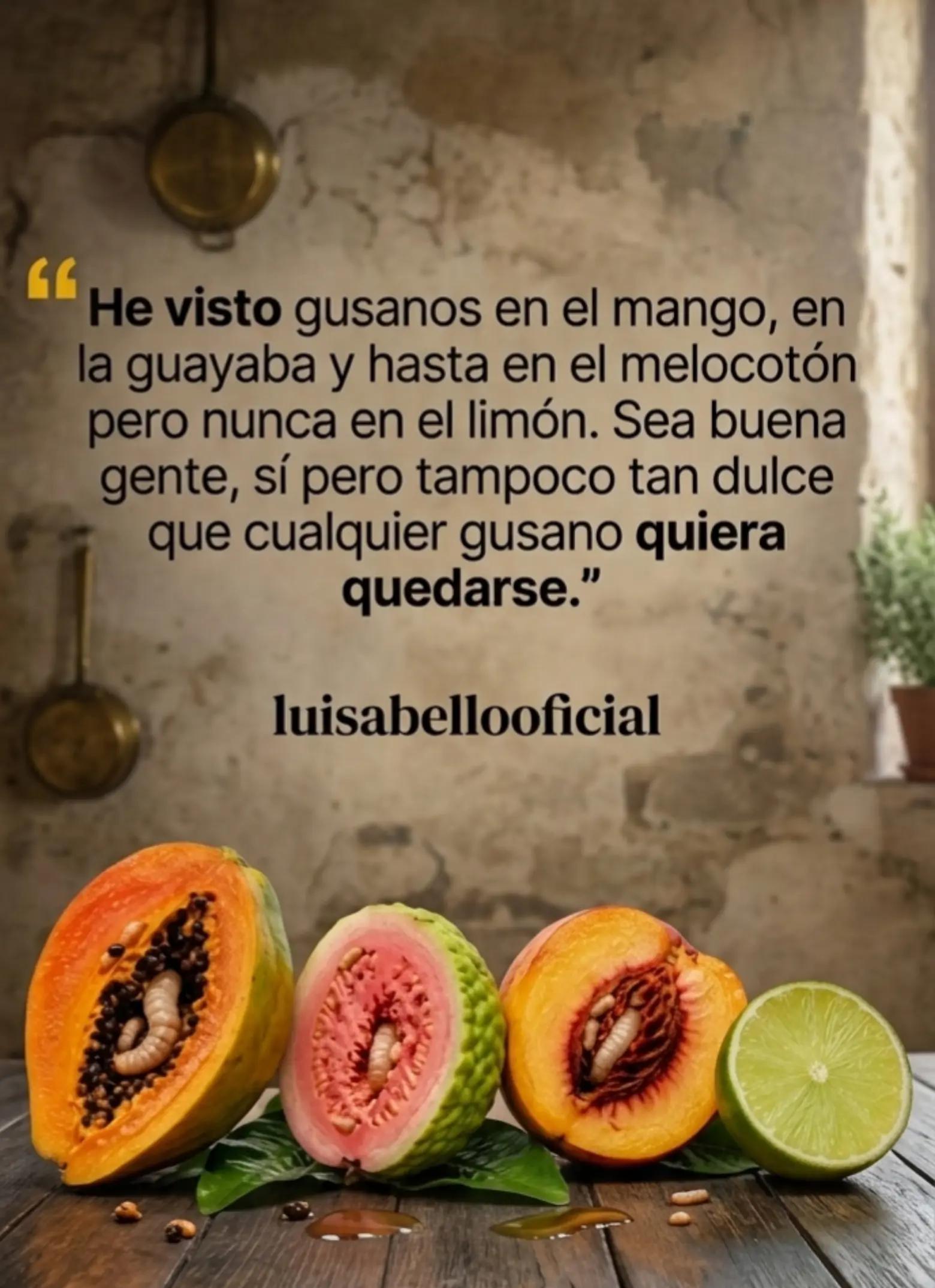 @luis abello