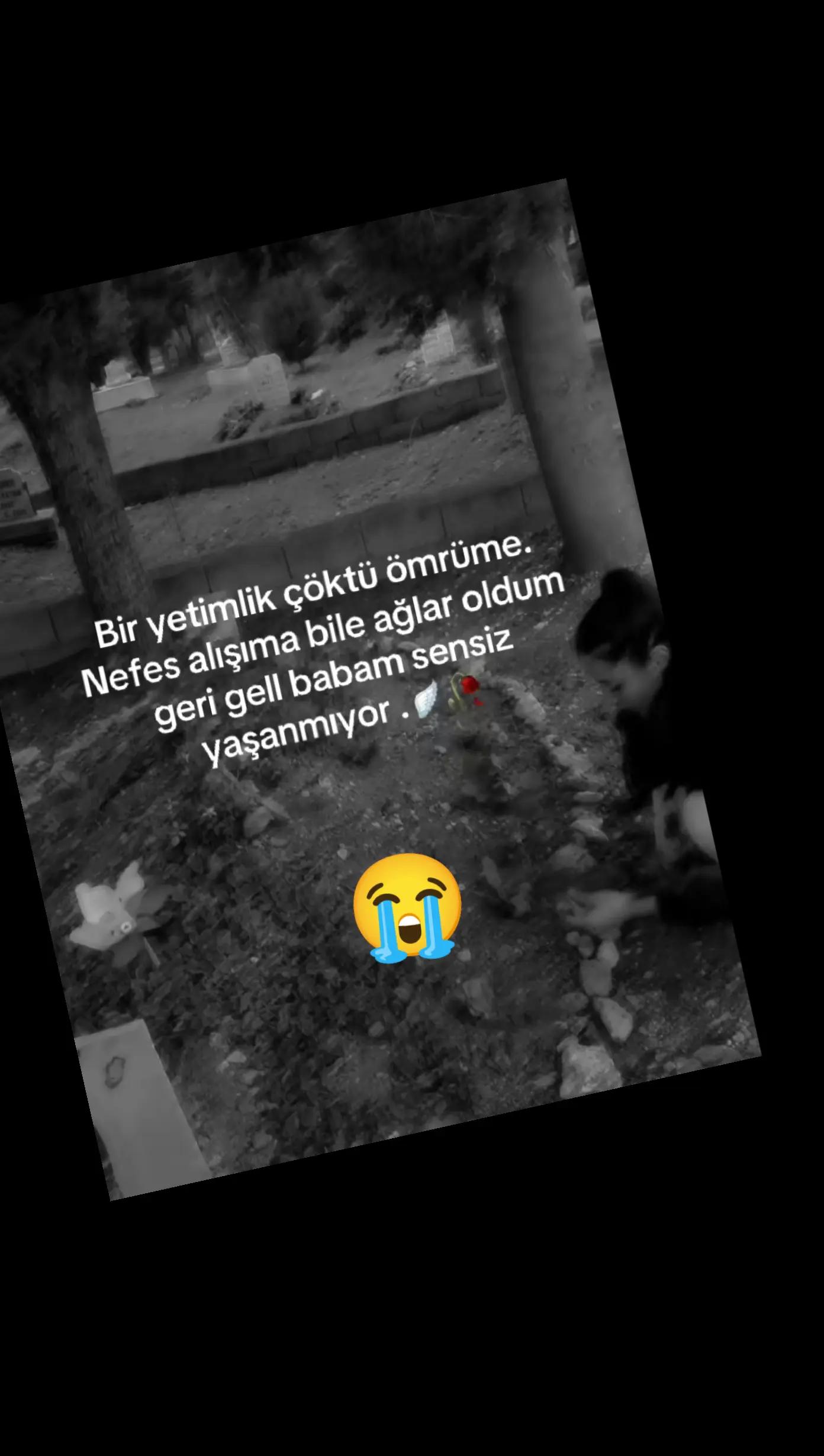 @papatya