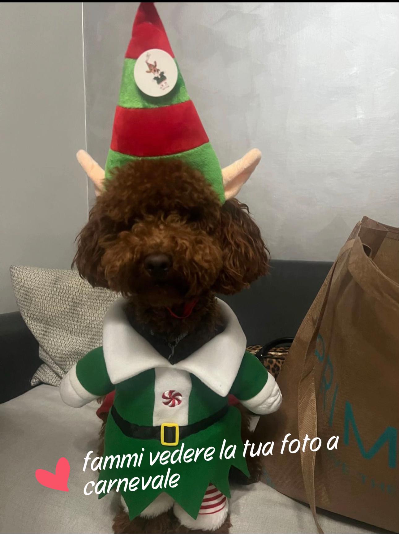 @federica.alfano_