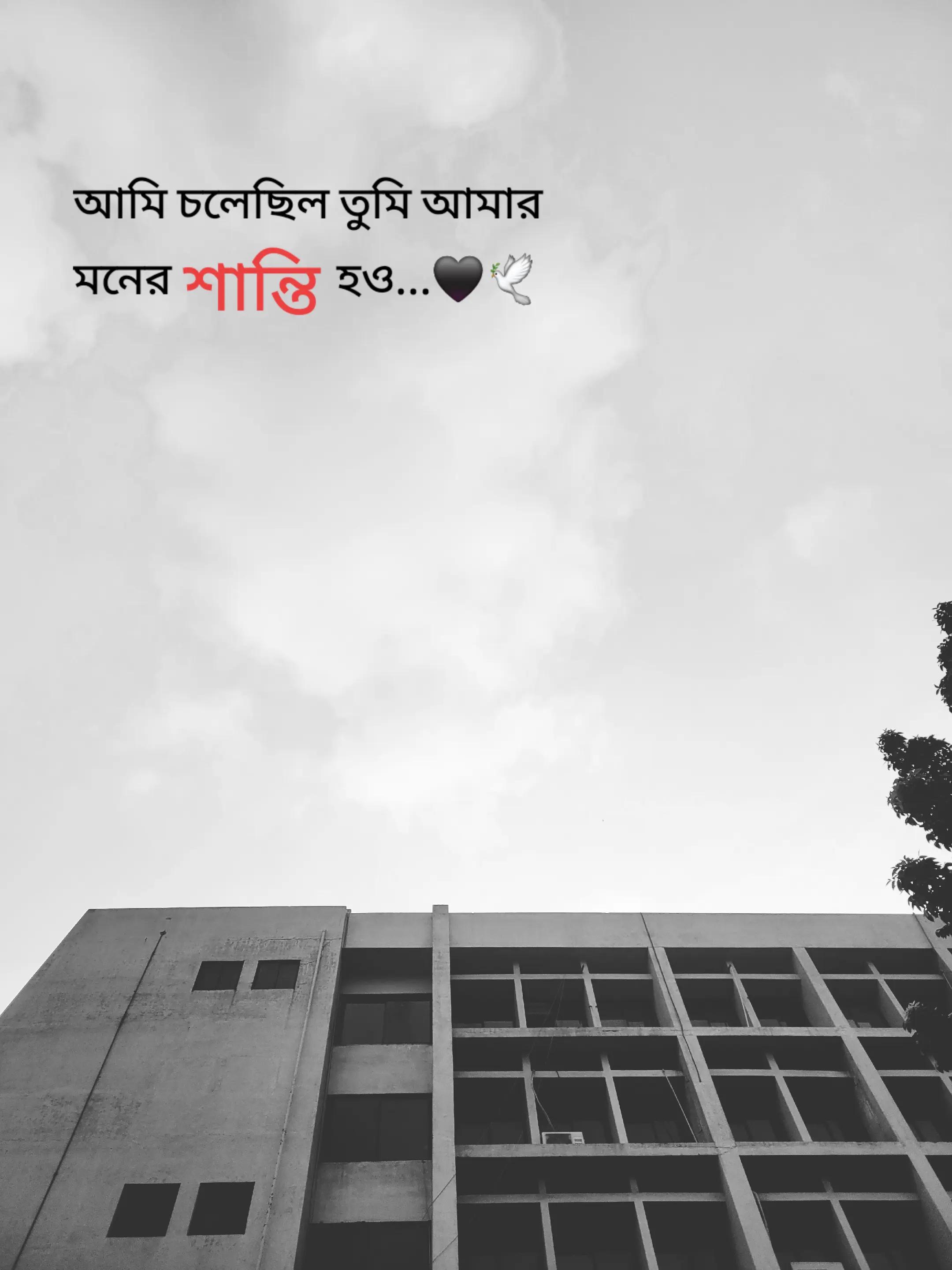 @Nabil