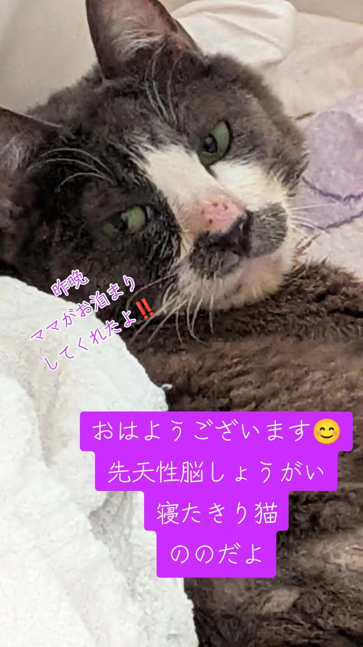 @てんきな