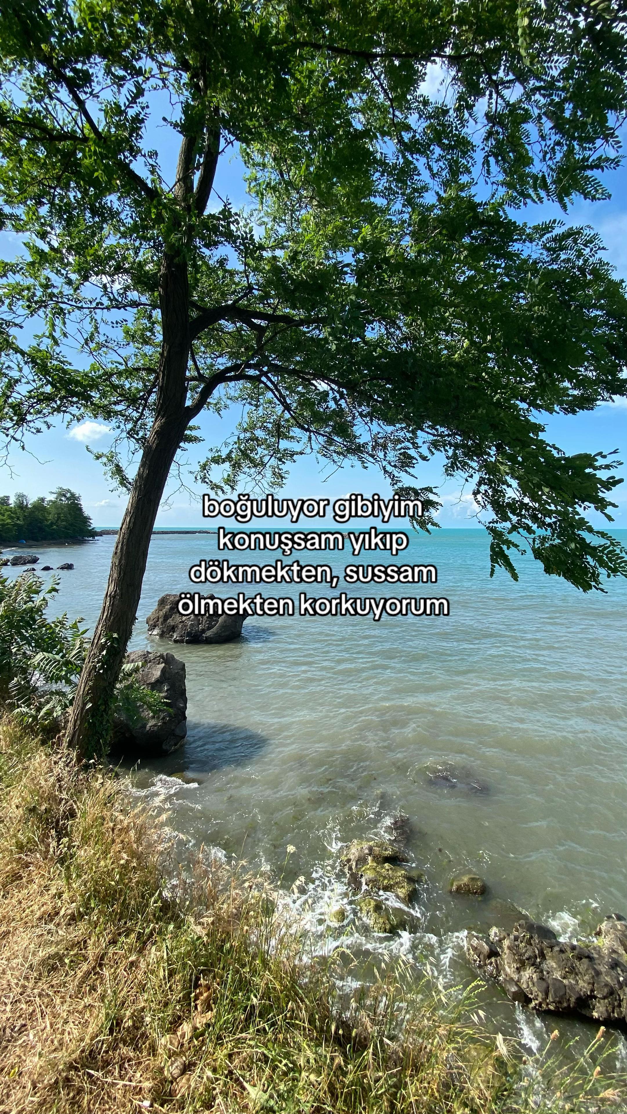 @𝓔 ᥫ᭡ 𝓐