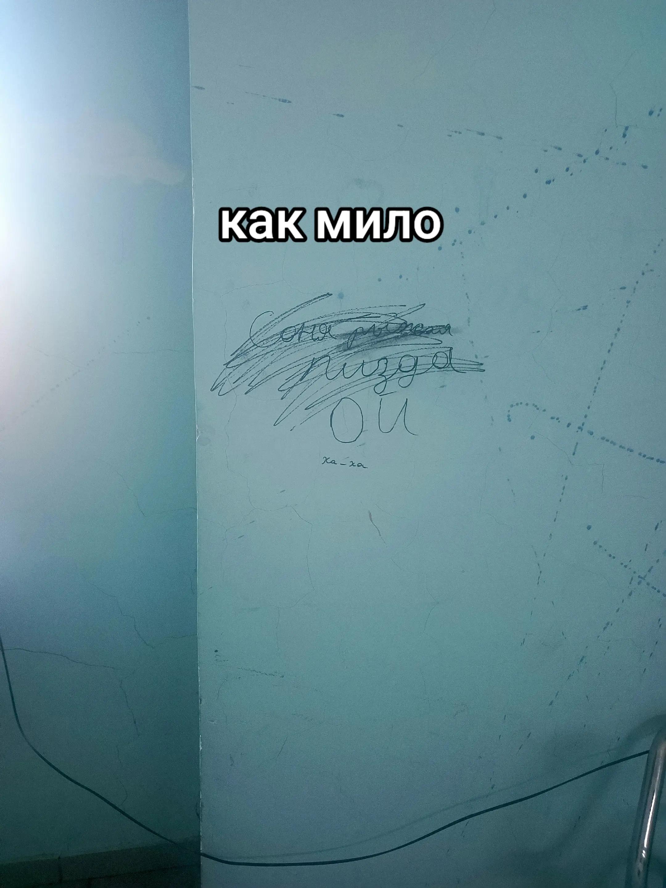 @ваукс бобы🫘