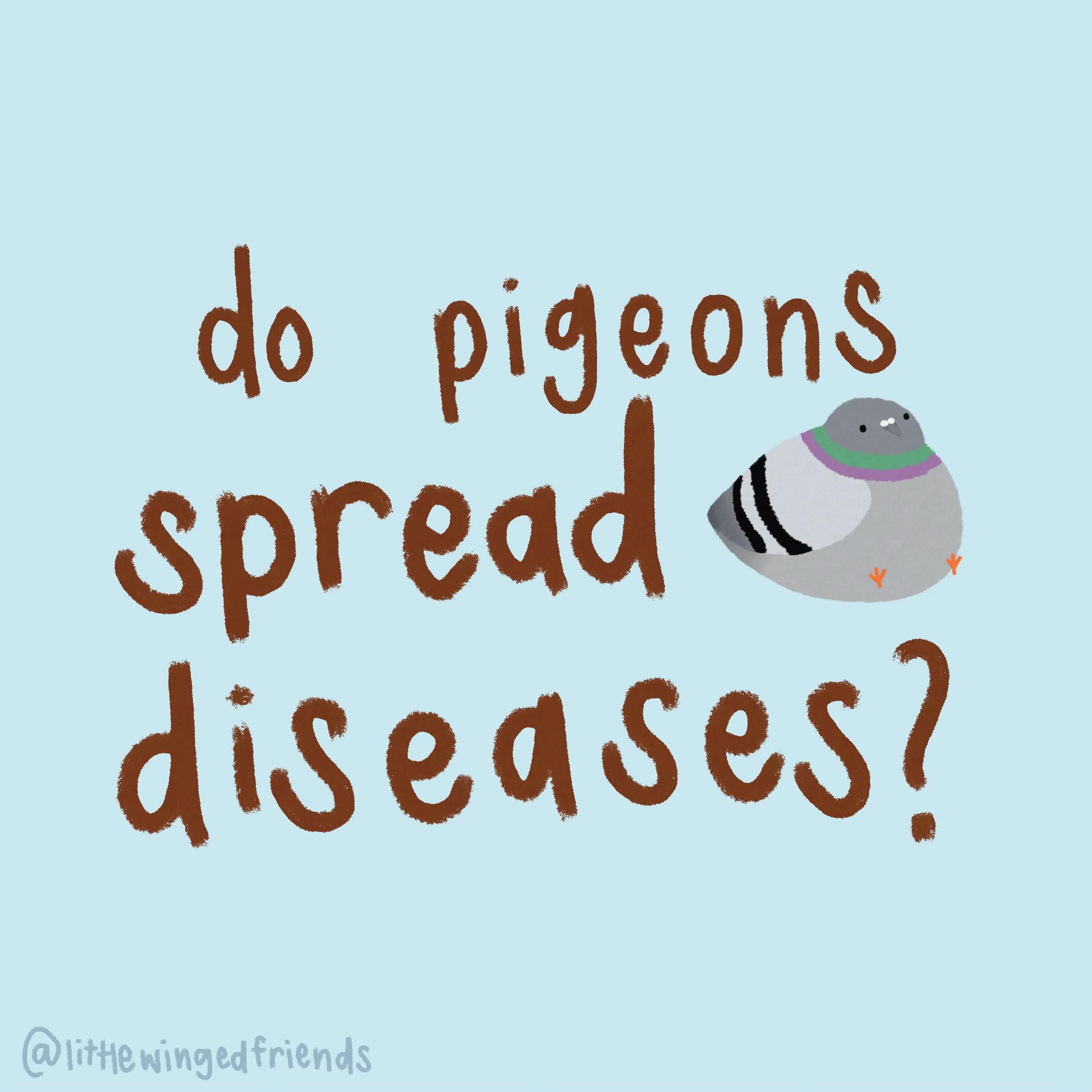 @summer ✶ little winged friends