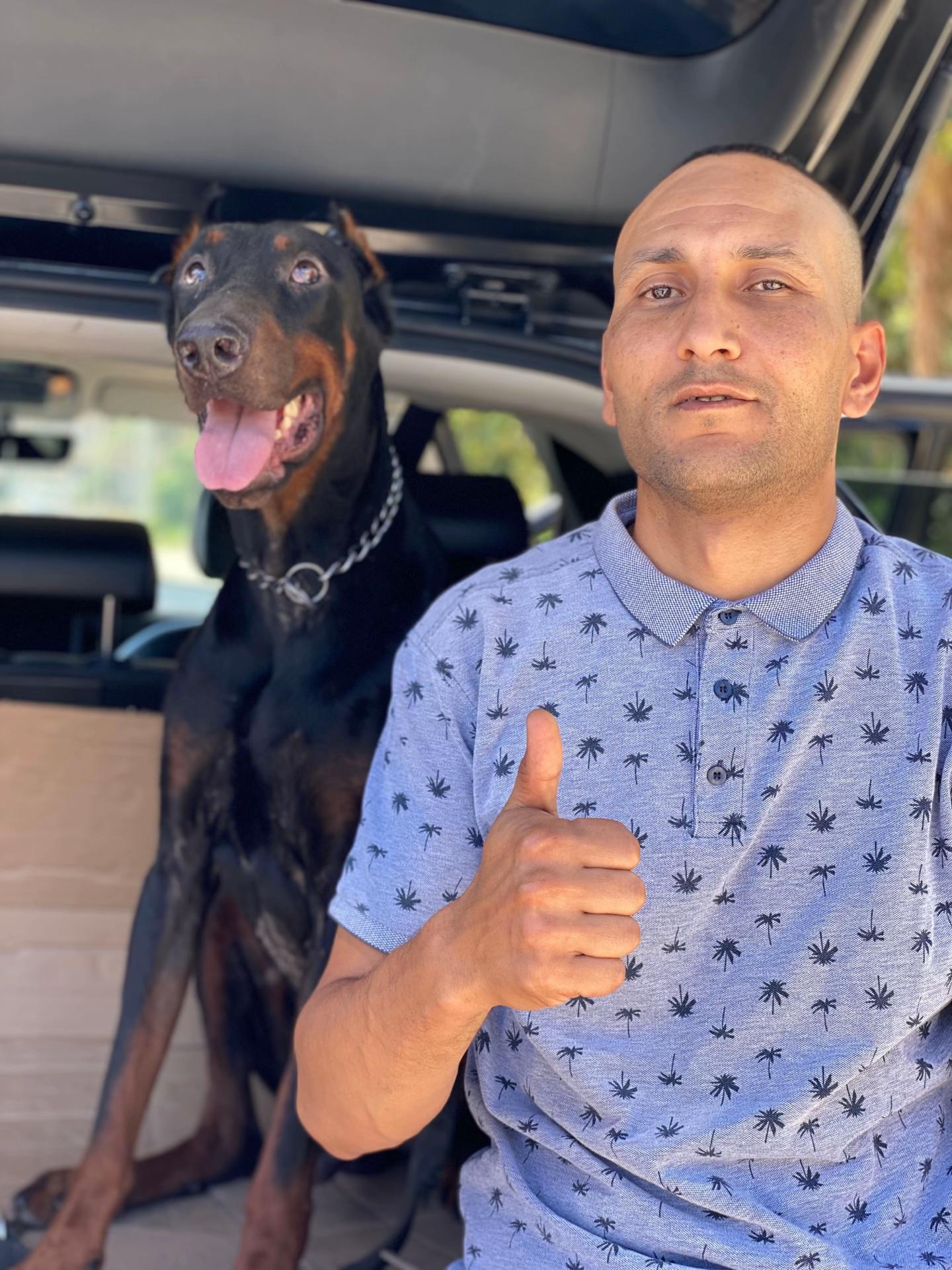 @canicorsoftmalinois