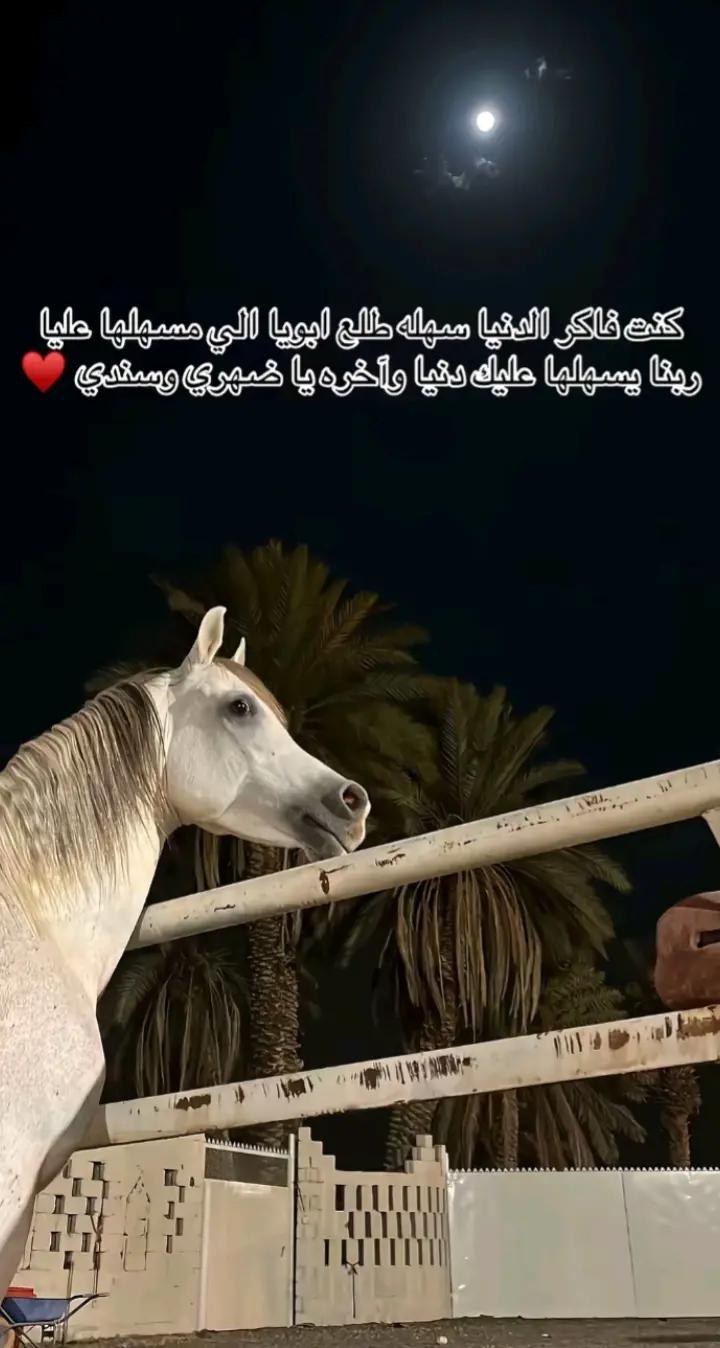 @Ruaydan 🤎🦋