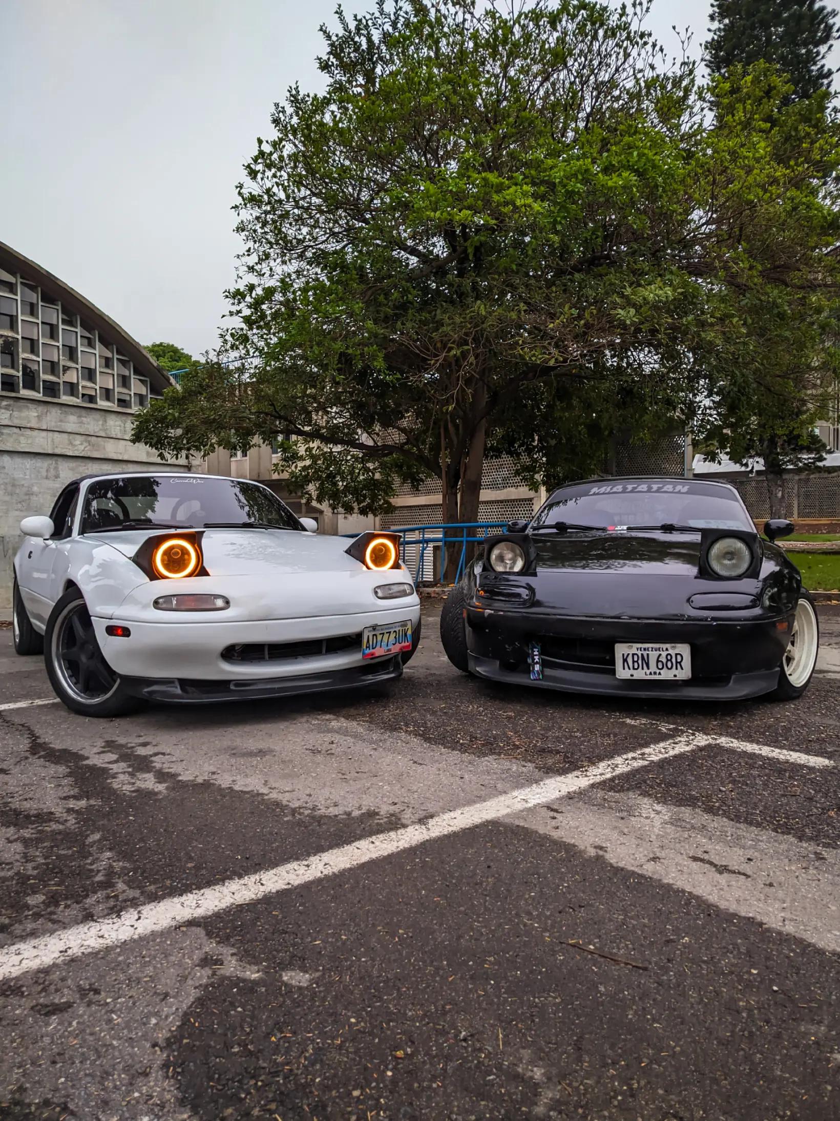 @Paradise Cars