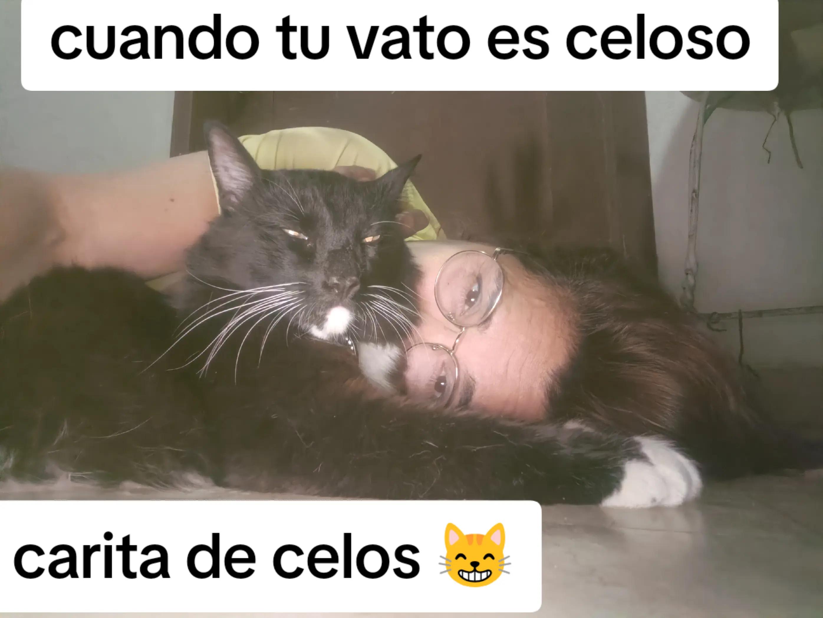 @Andreina